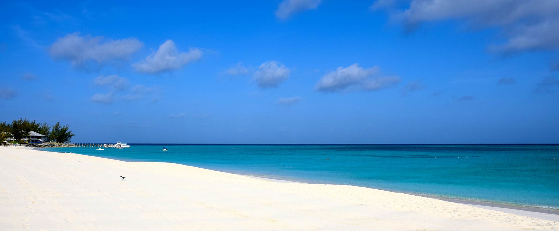 Bahama Background