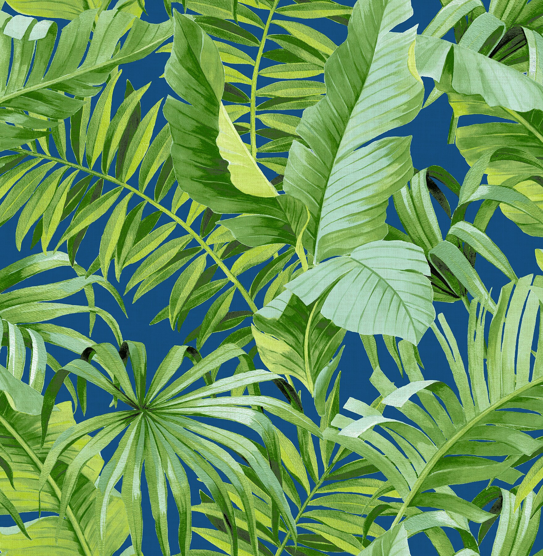 Bahama Background