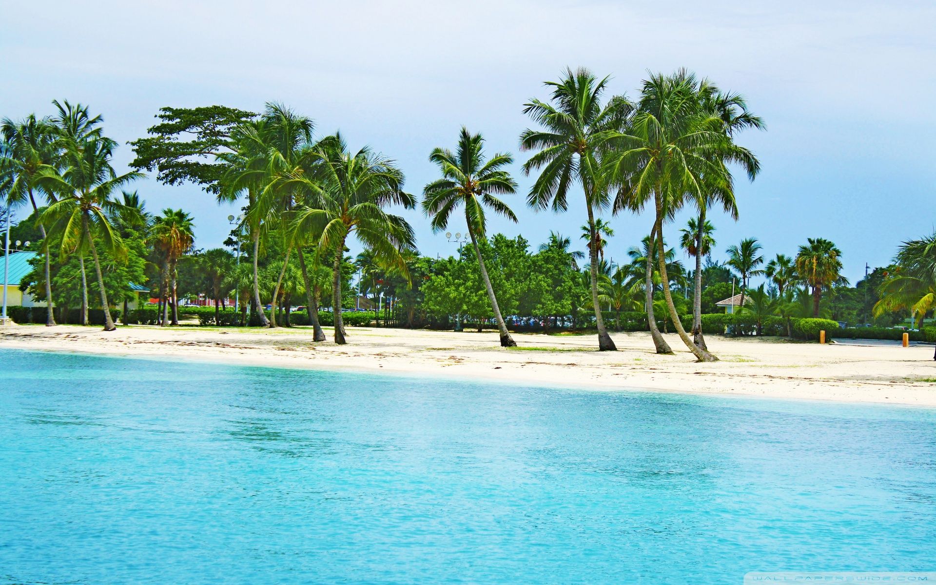 Bahama Background