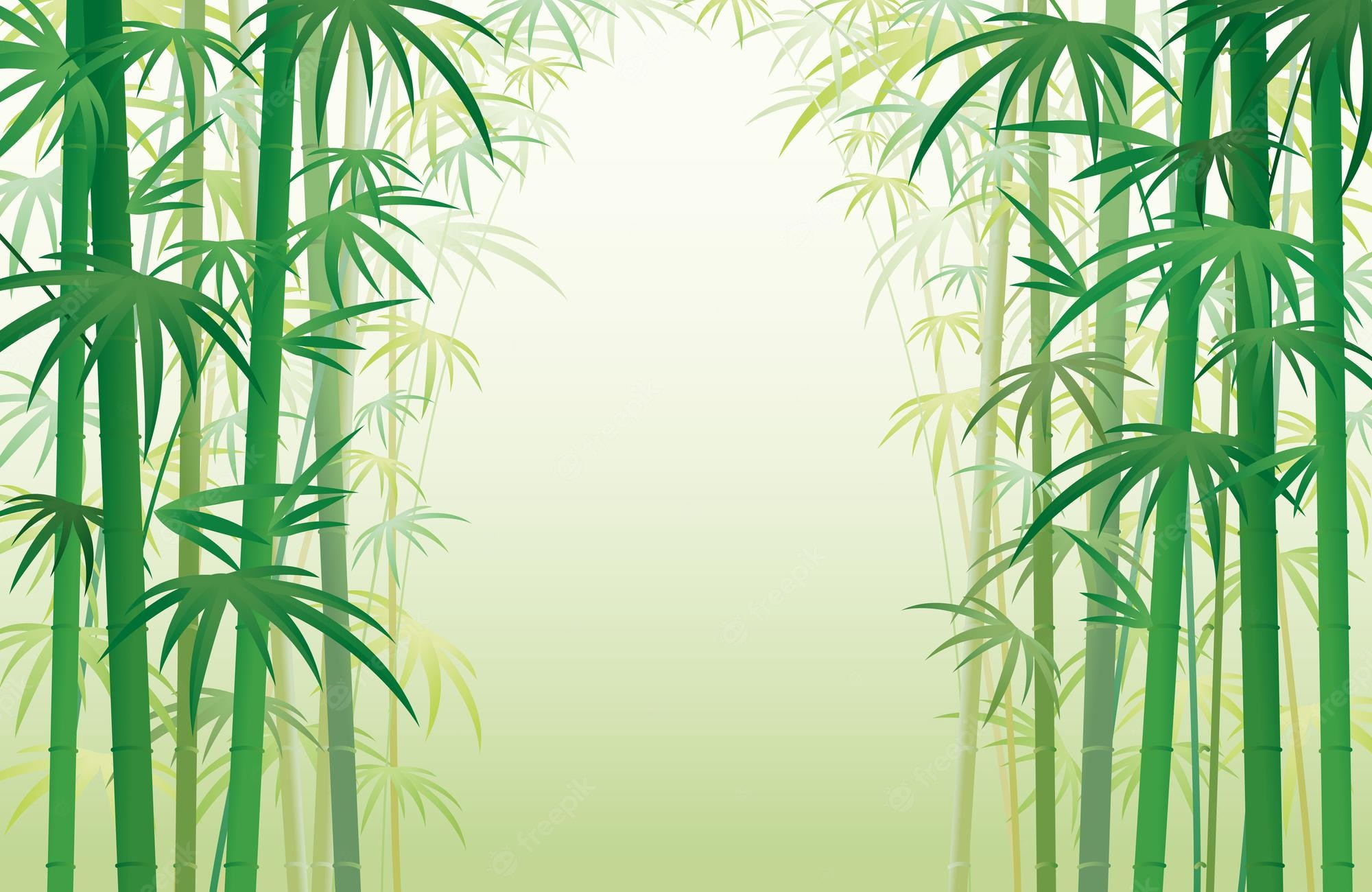 Bamboo Forest Background