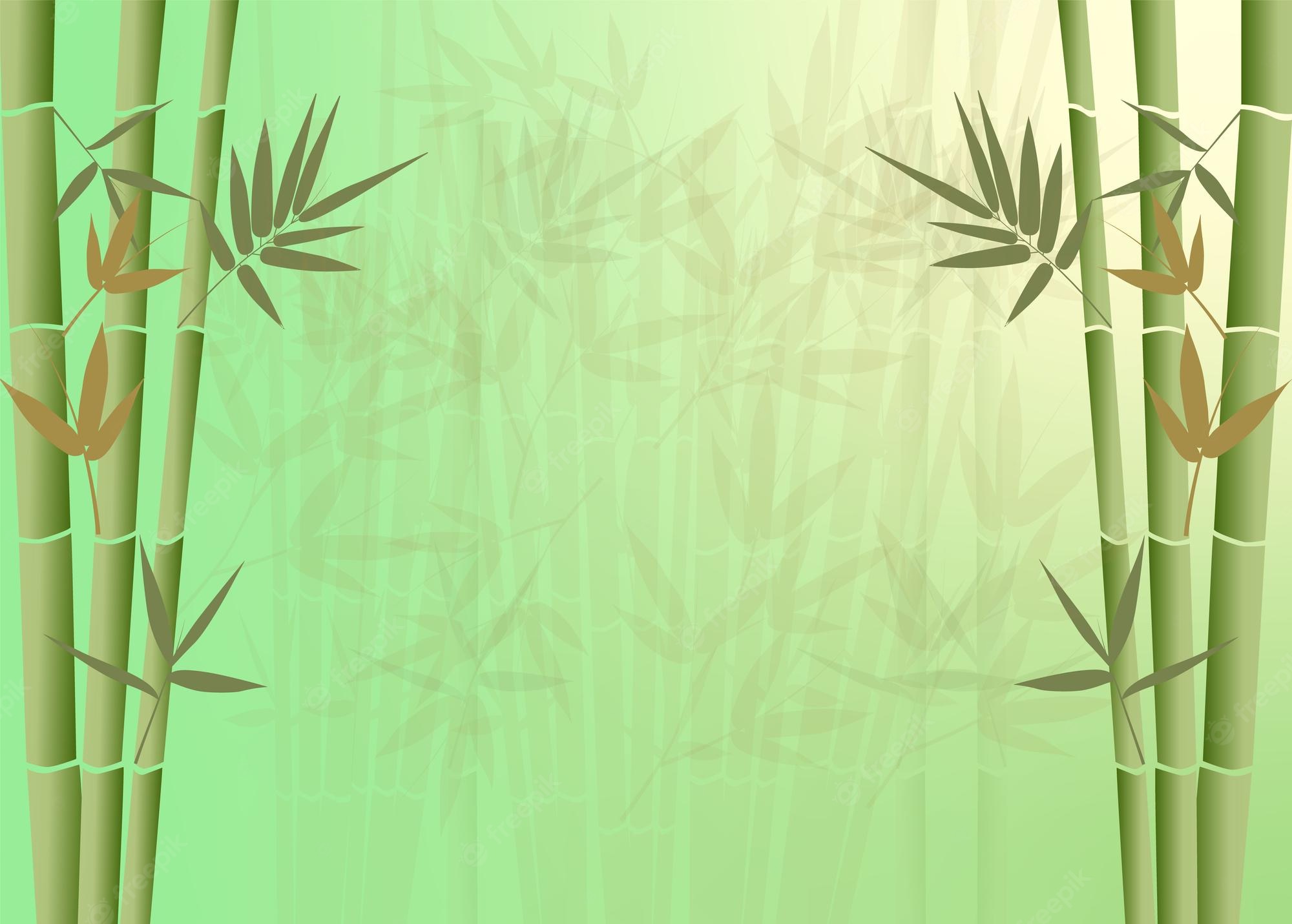 Bamboo Forest Background