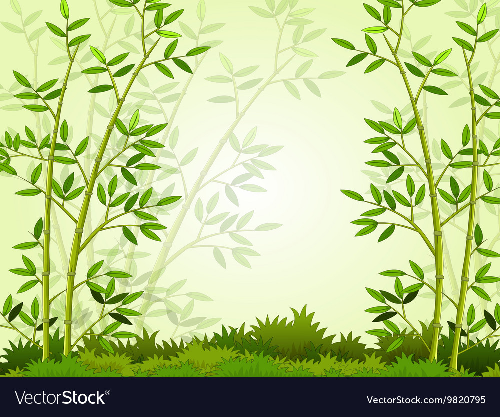 Bamboo Forest Background