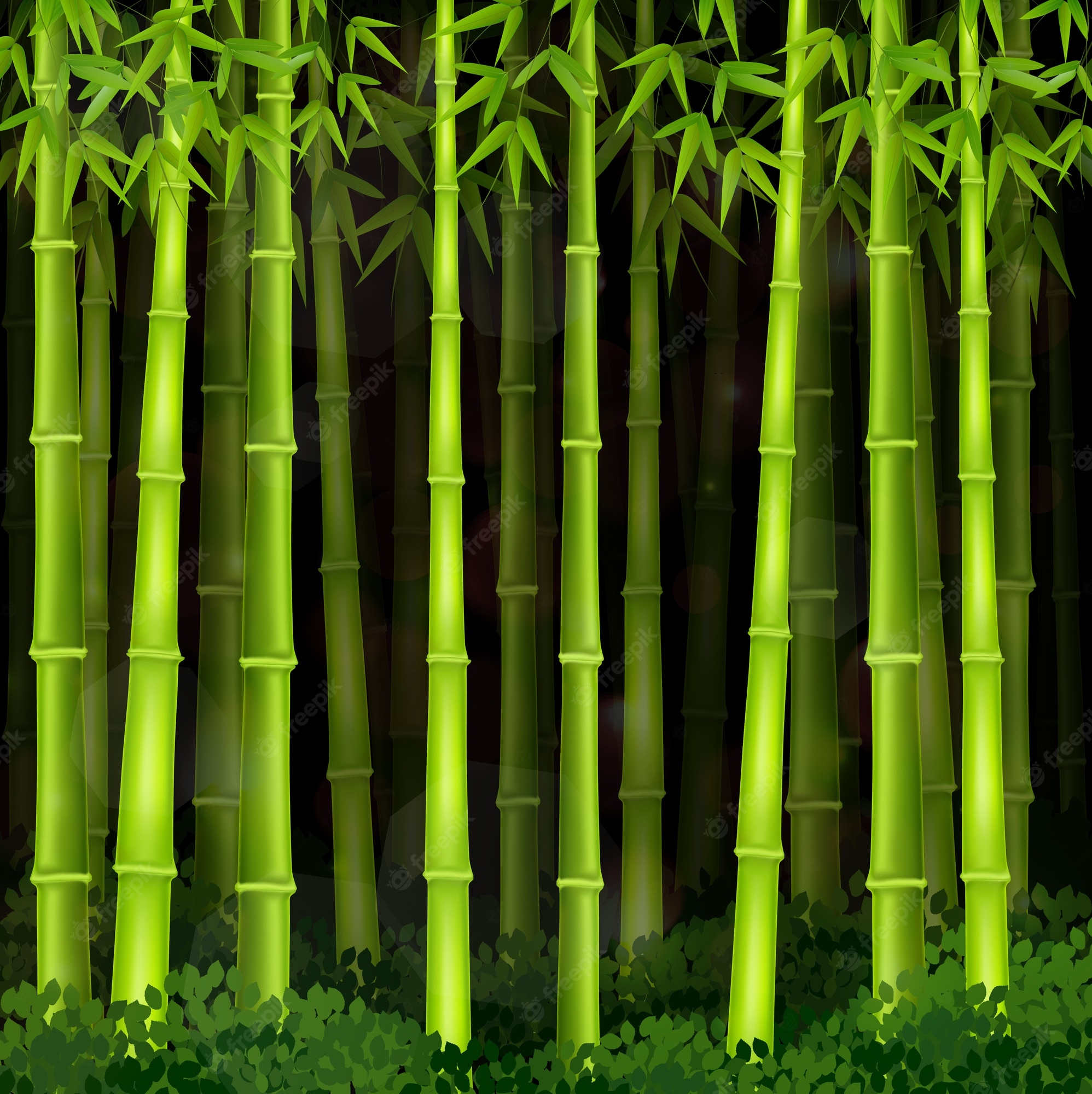 Bamboo Forest Background