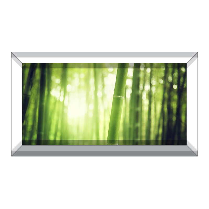 Bamboo Forest Background