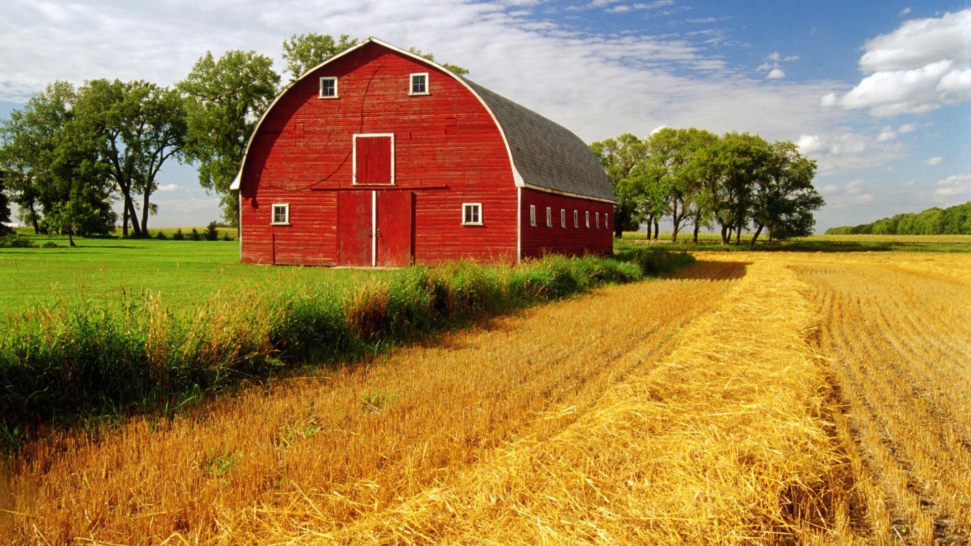 Barn Background