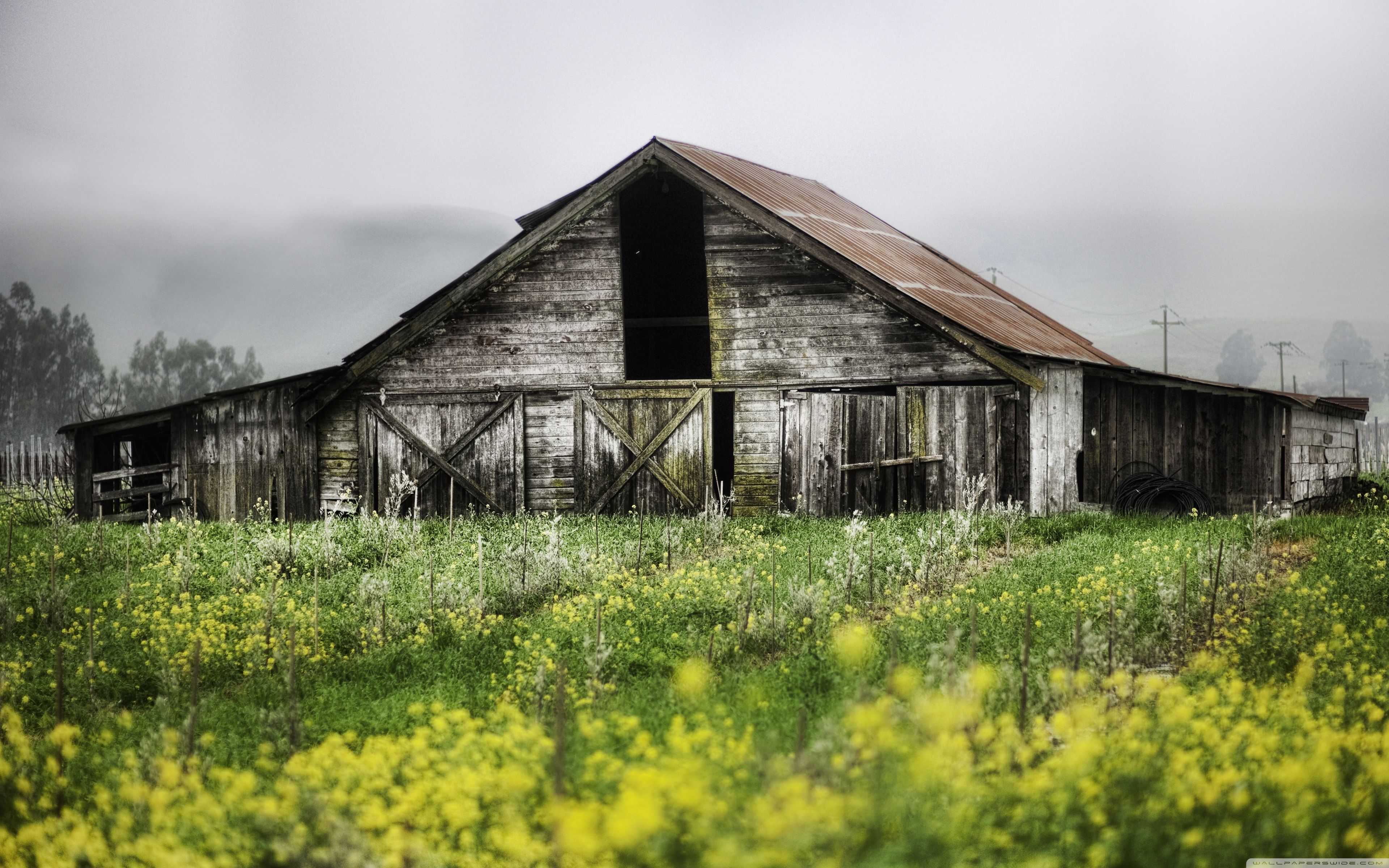 Barn Background