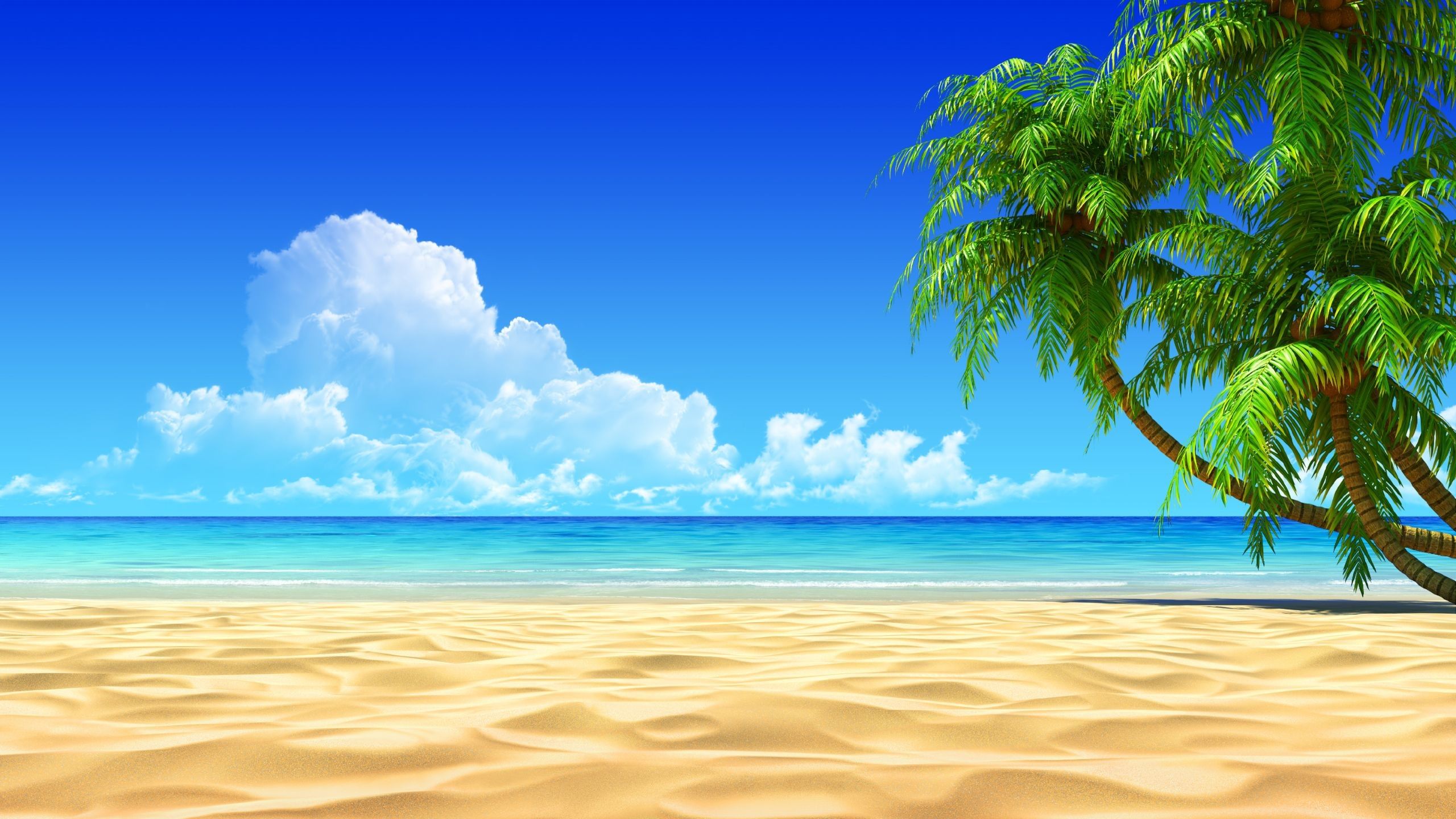 Beach Ocean Background