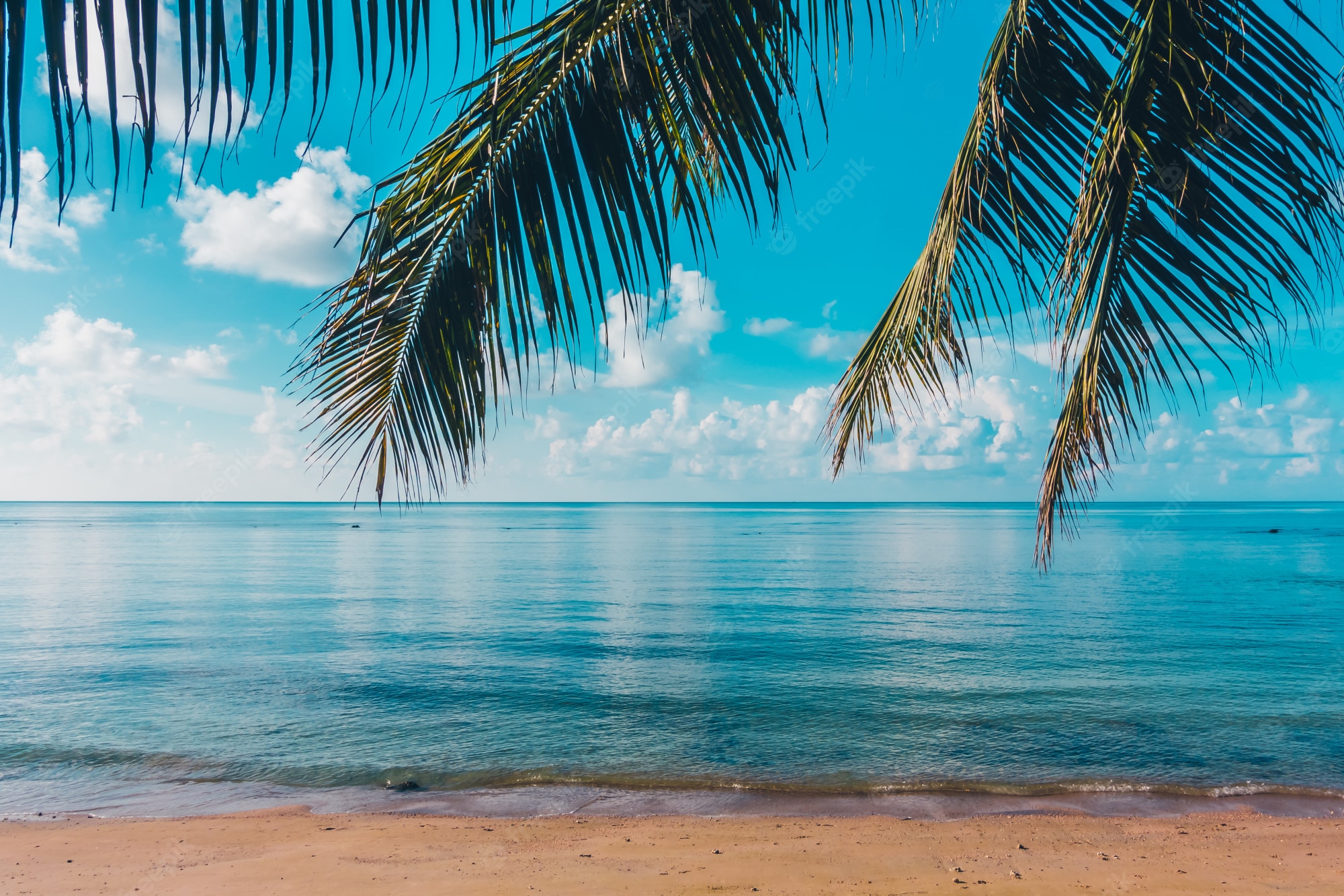 Beach Ocean Background