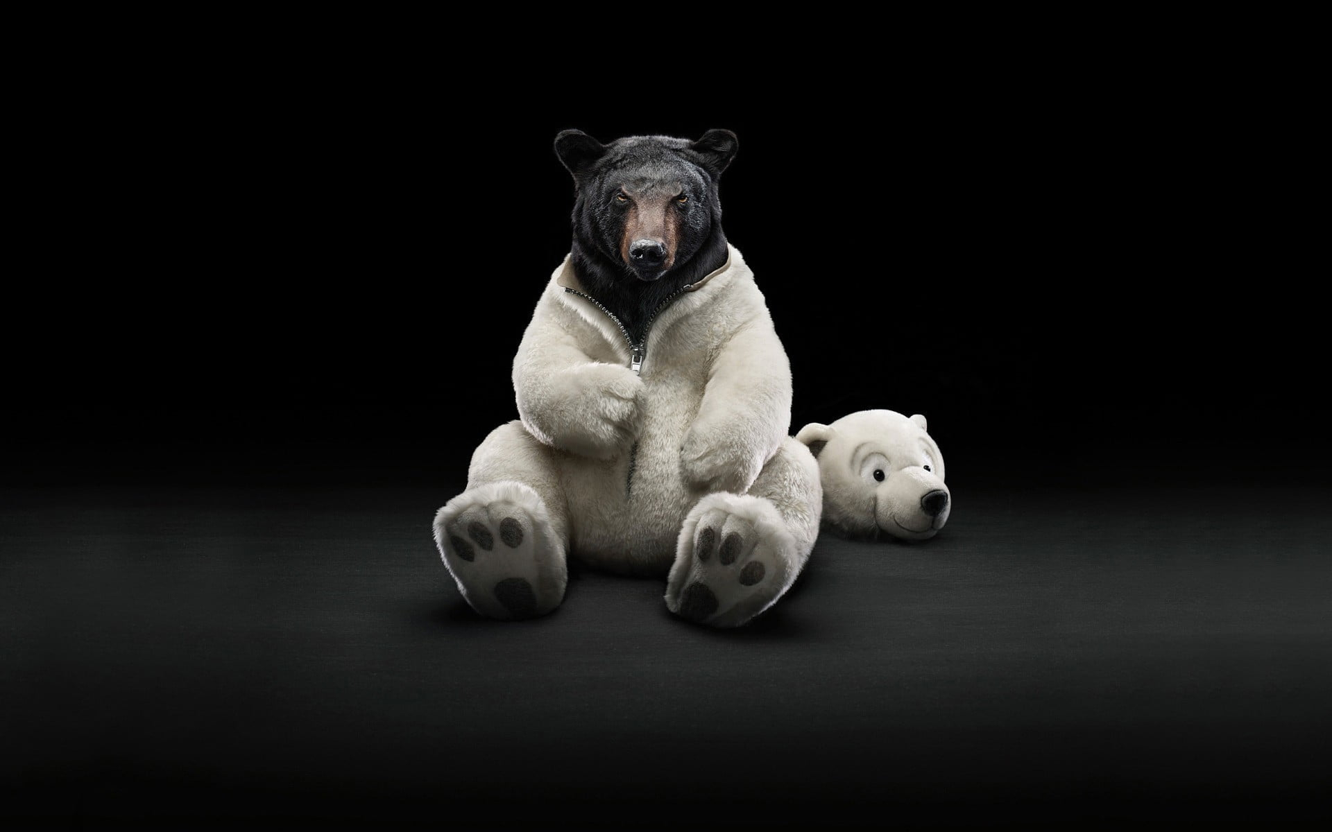 Bear Desktop Background