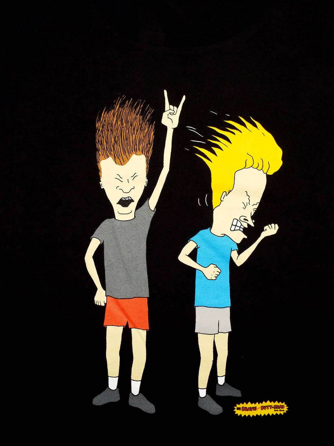 Beavis And Butthead Backgrounds