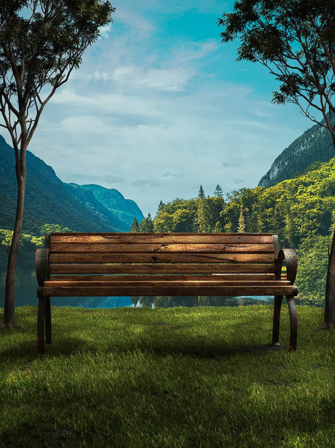 Bench Background