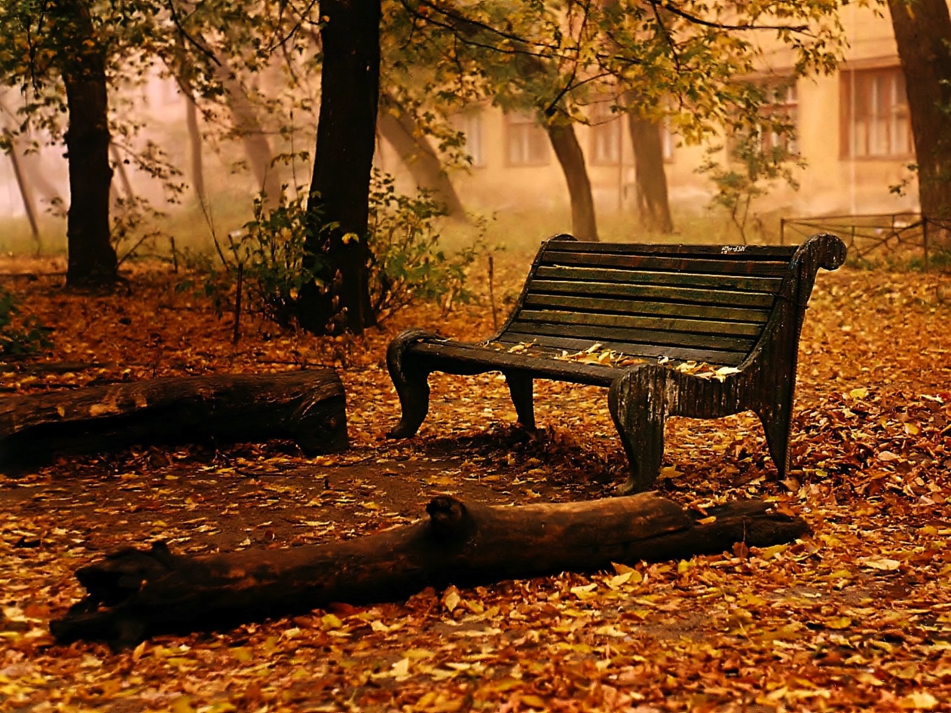 Bench Background