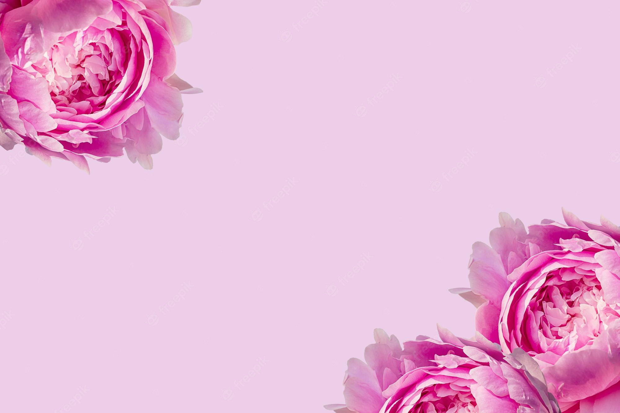 Big Flower Background