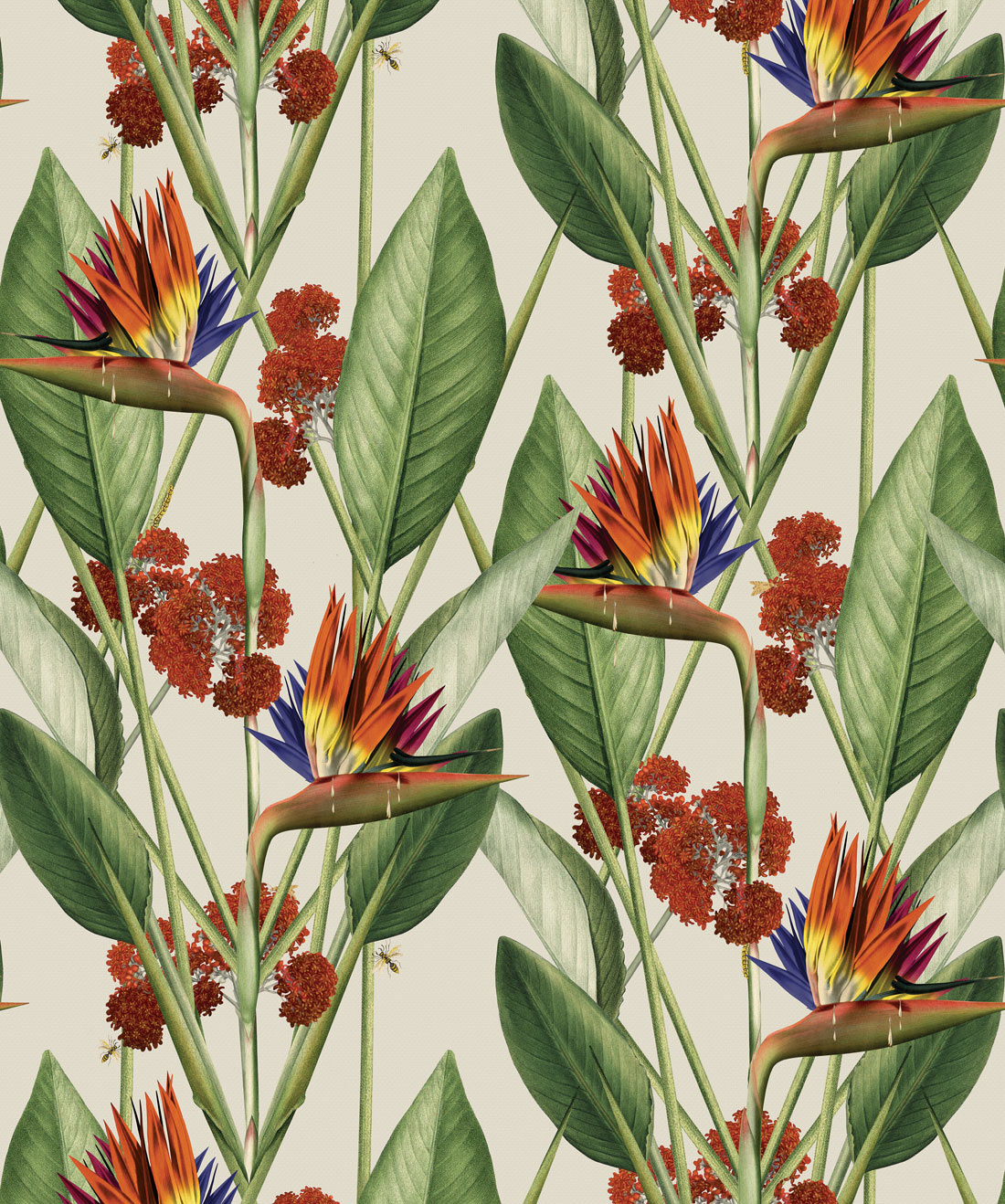 Birds Of Paradise Background