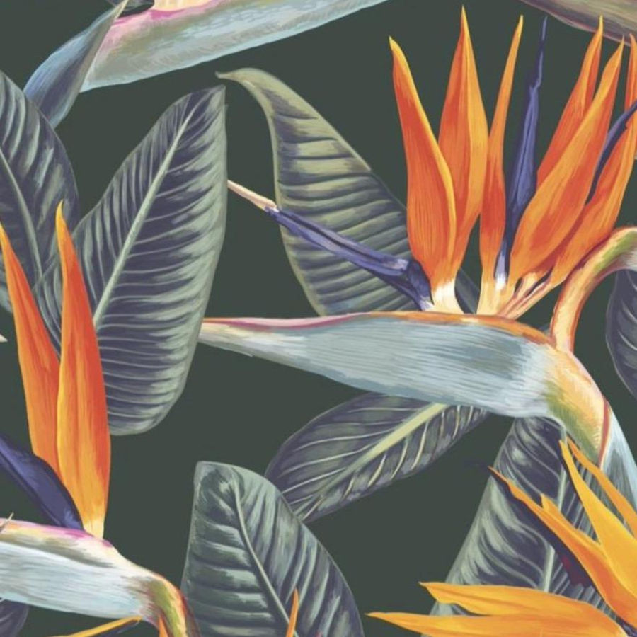 Birds Of Paradise Background