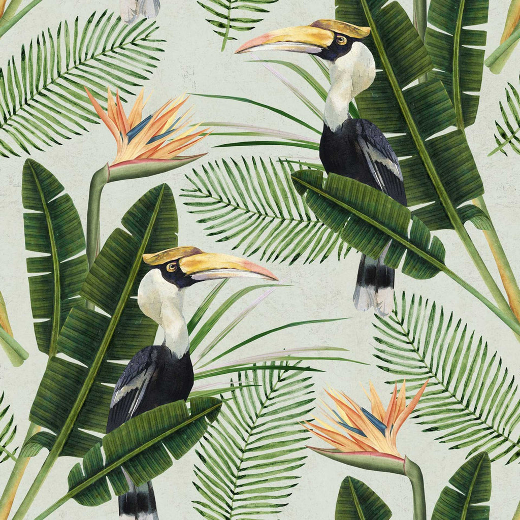 Birds Of Paradise Background