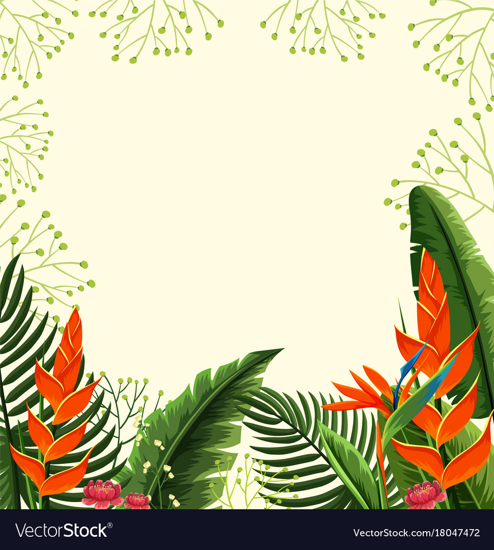 Birds Of Paradise Background