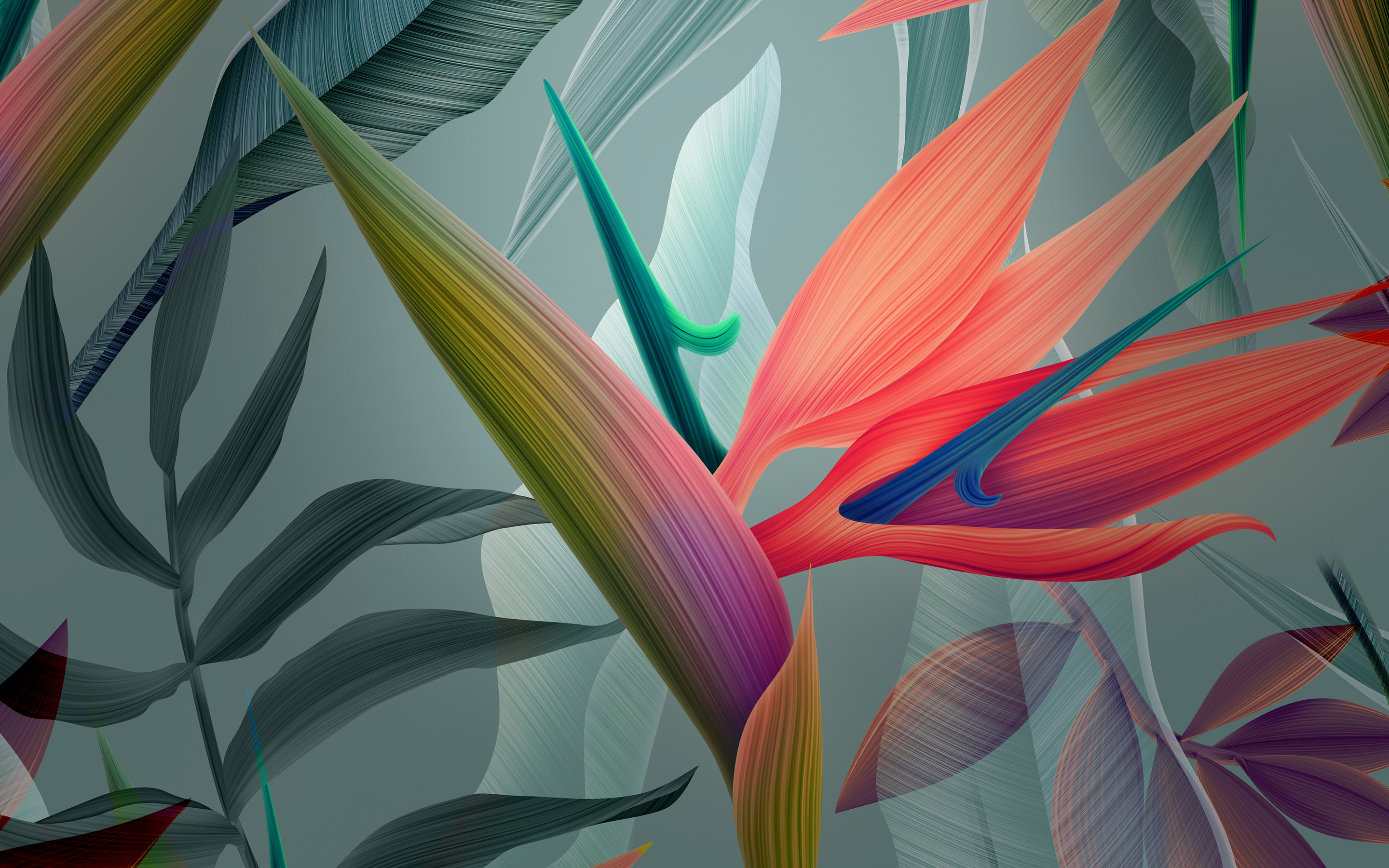 Birds Of Paradise Background