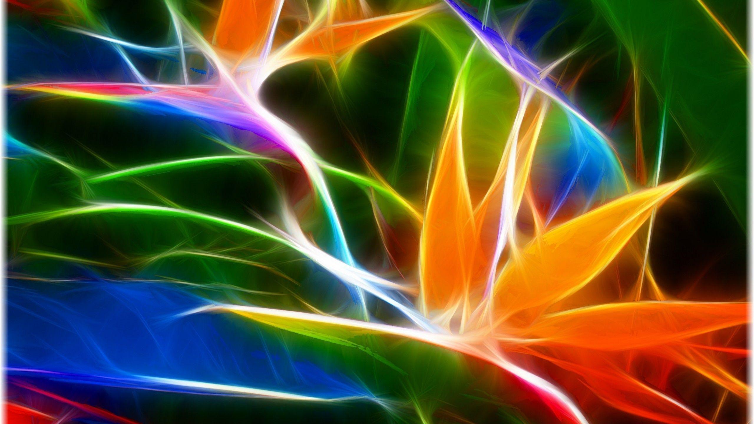 Birds Of Paradise Background