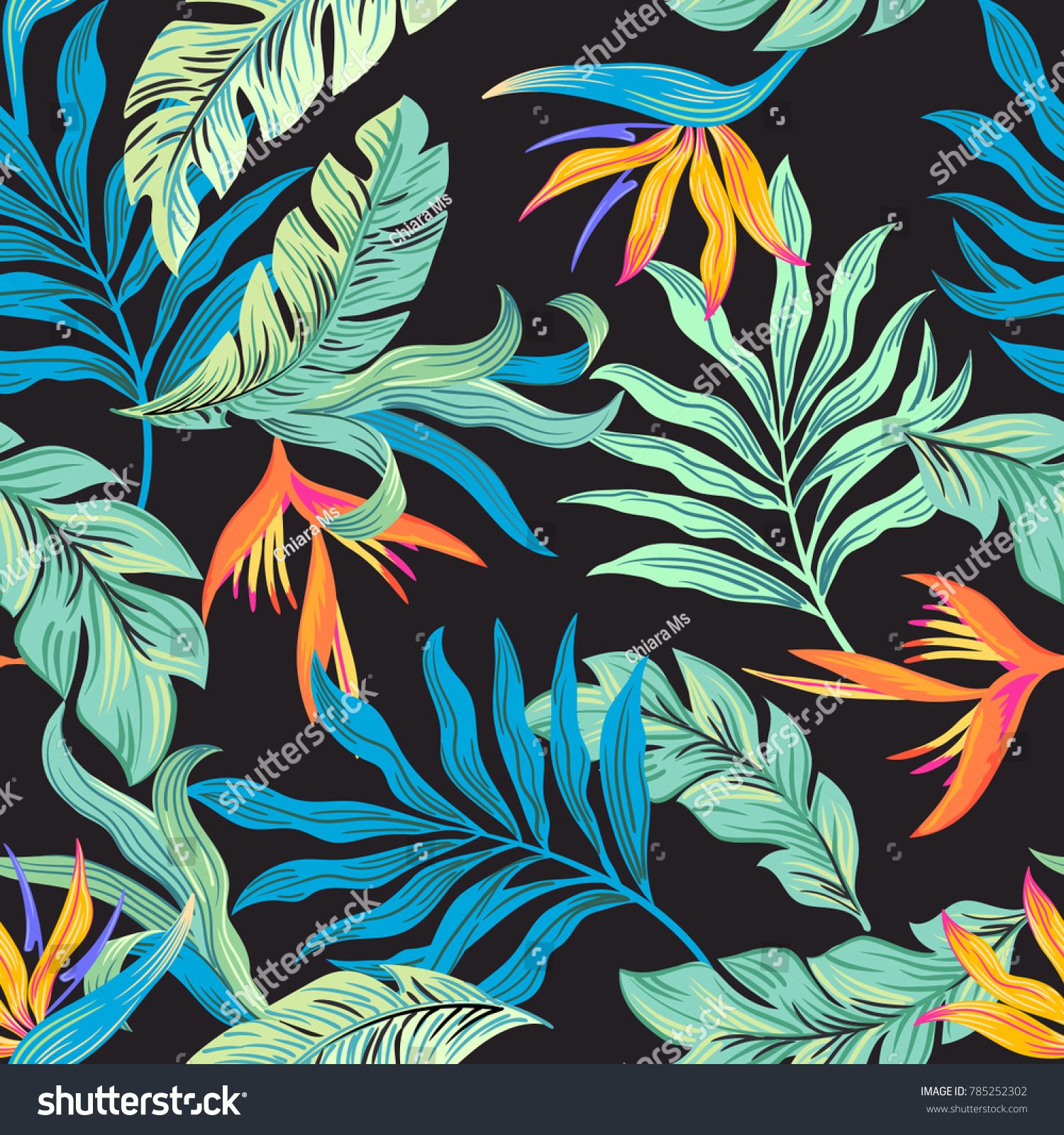 Birds Of Paradise Background