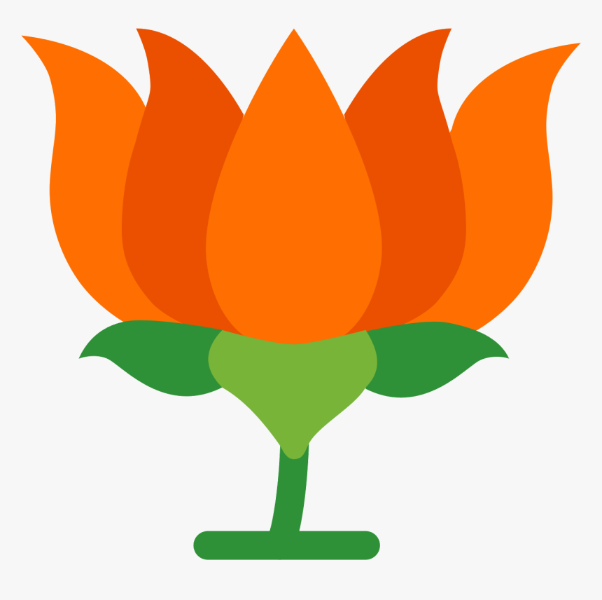 Bjp Background