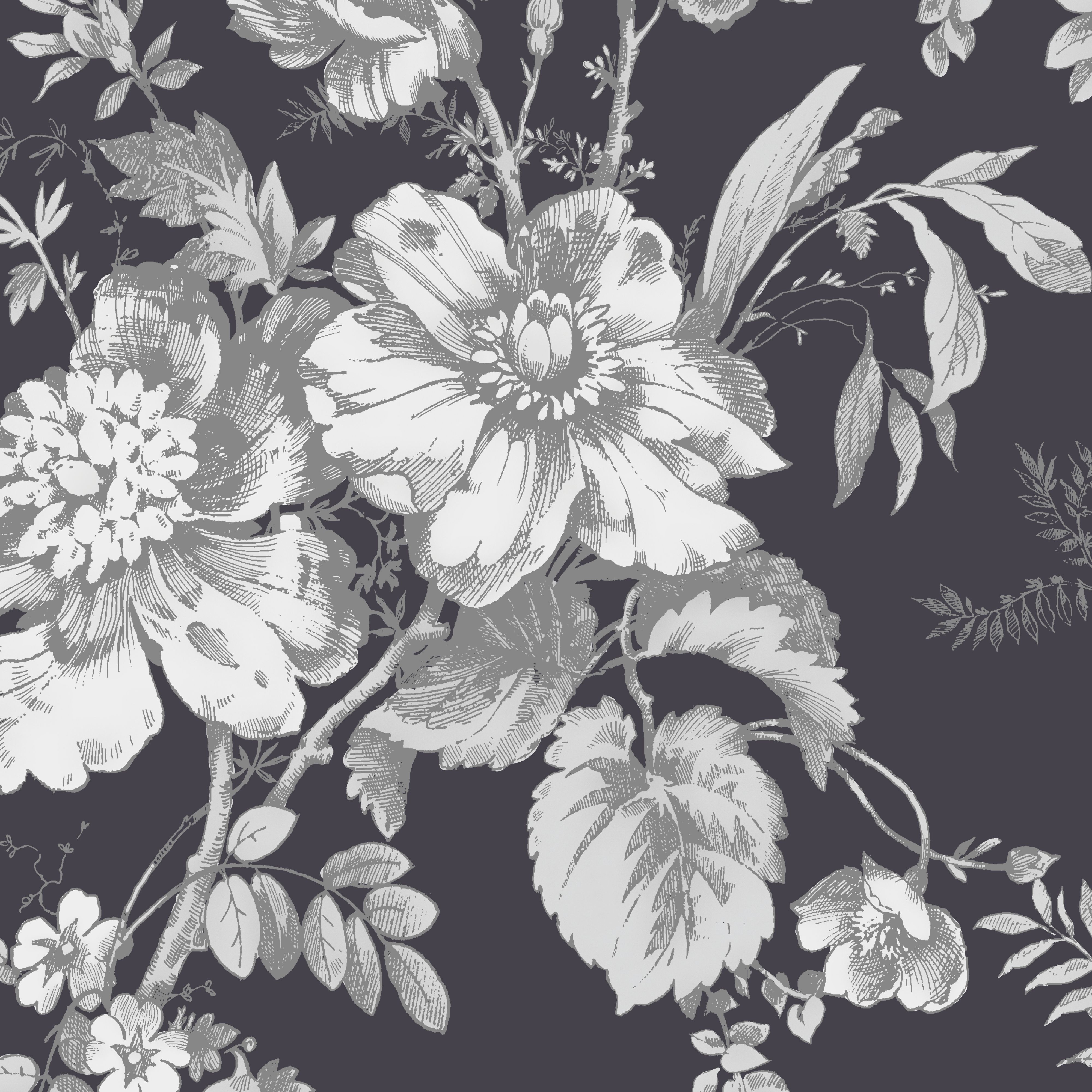 Black And White Vintage Background