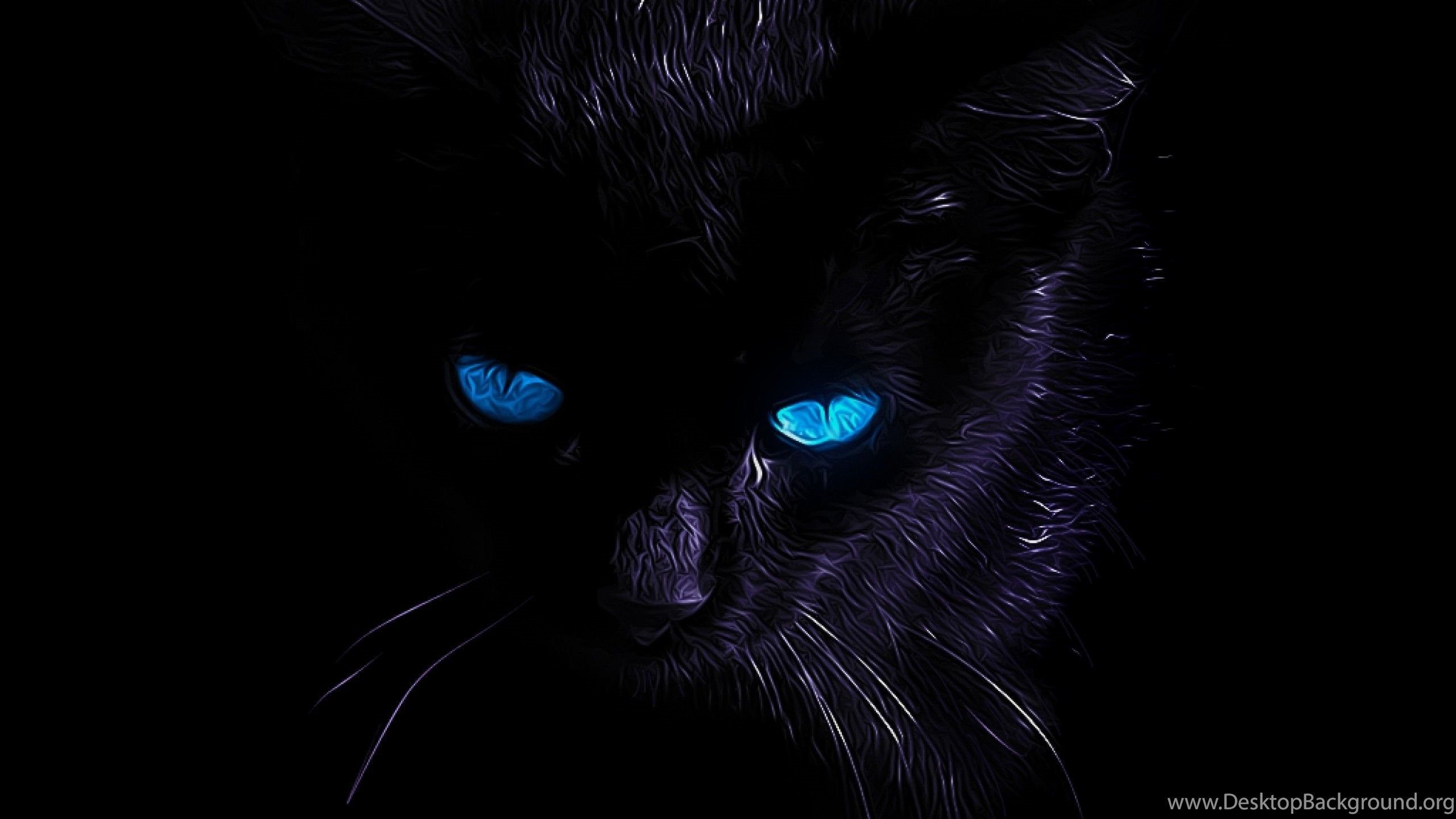 Black Cat Desktop Background