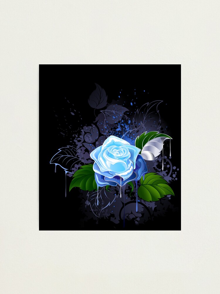 Blue Rose Black Background