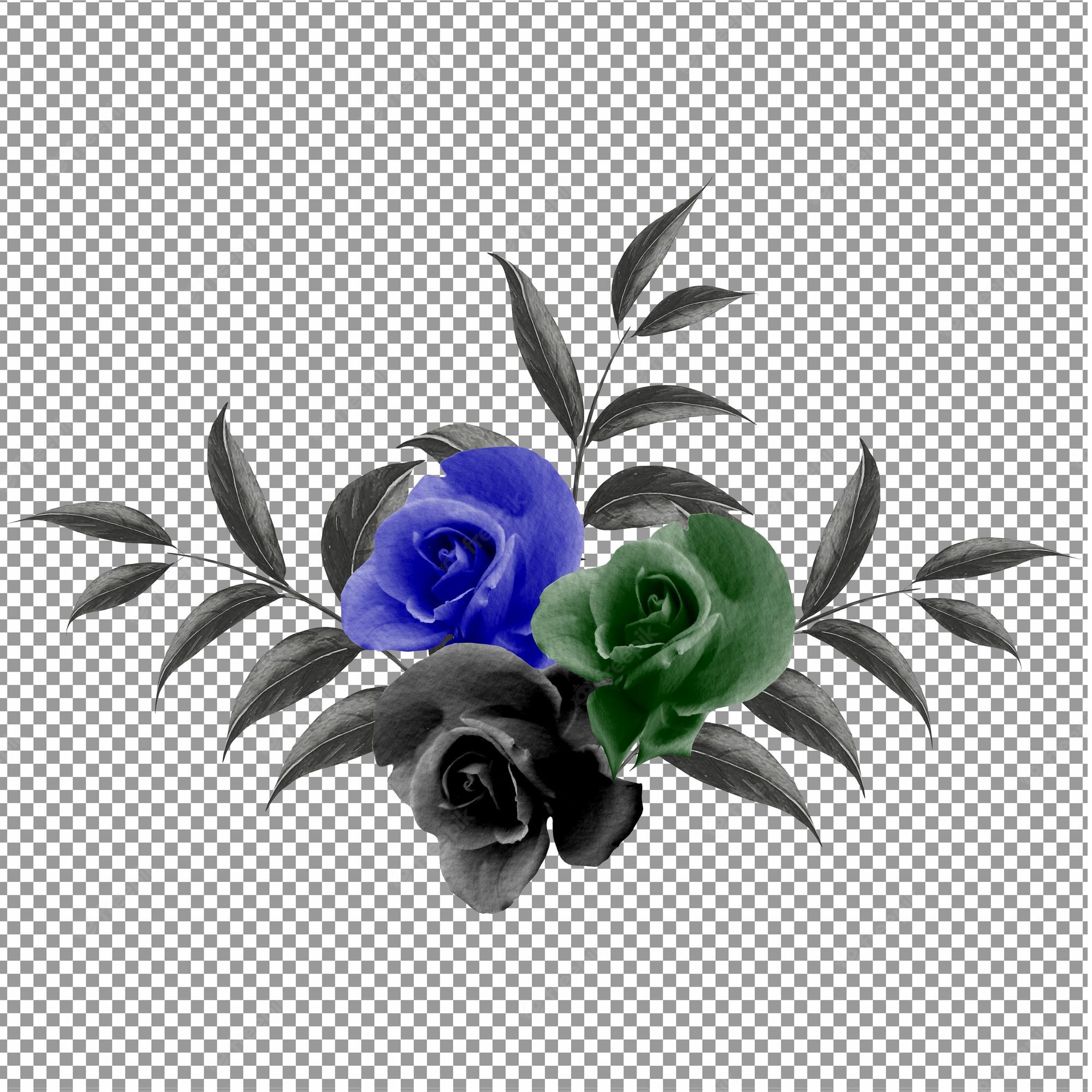 Blue Rose Black Background