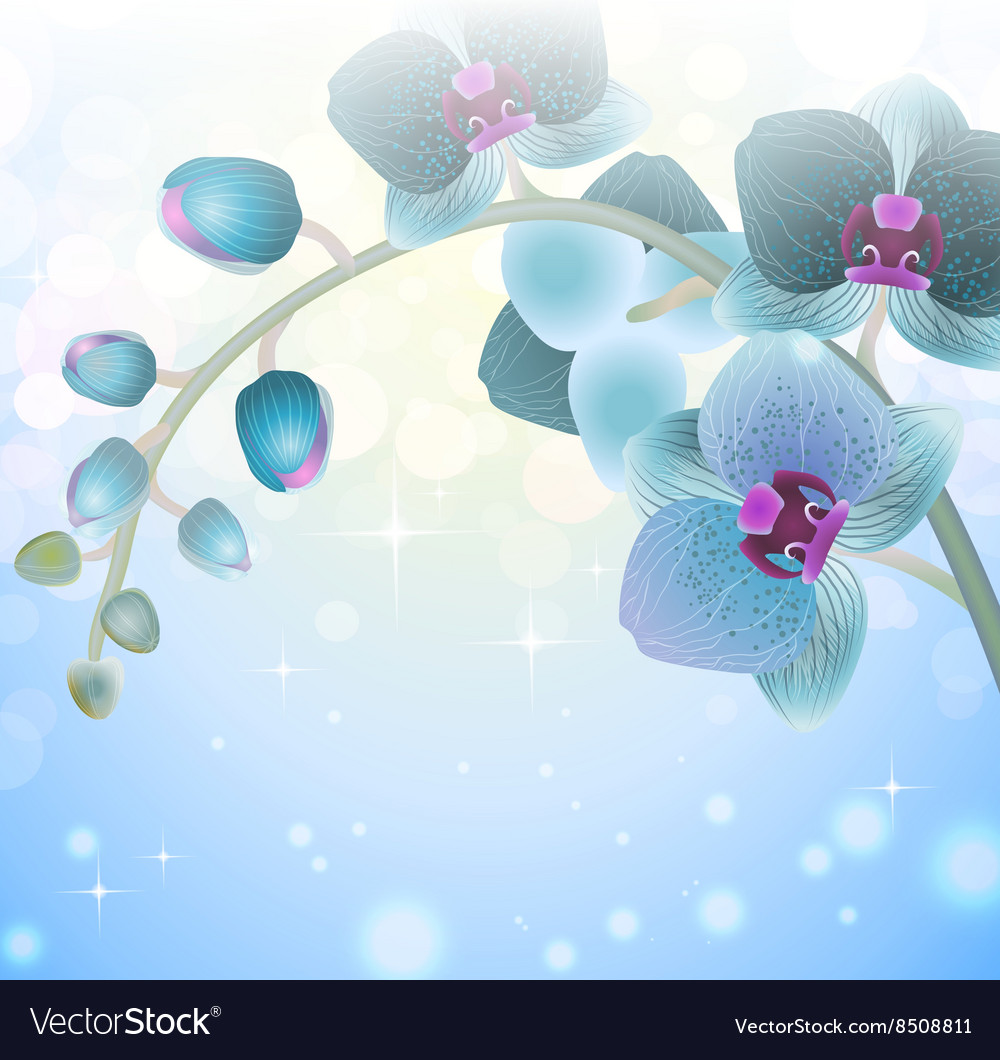 Blurred Flower Background