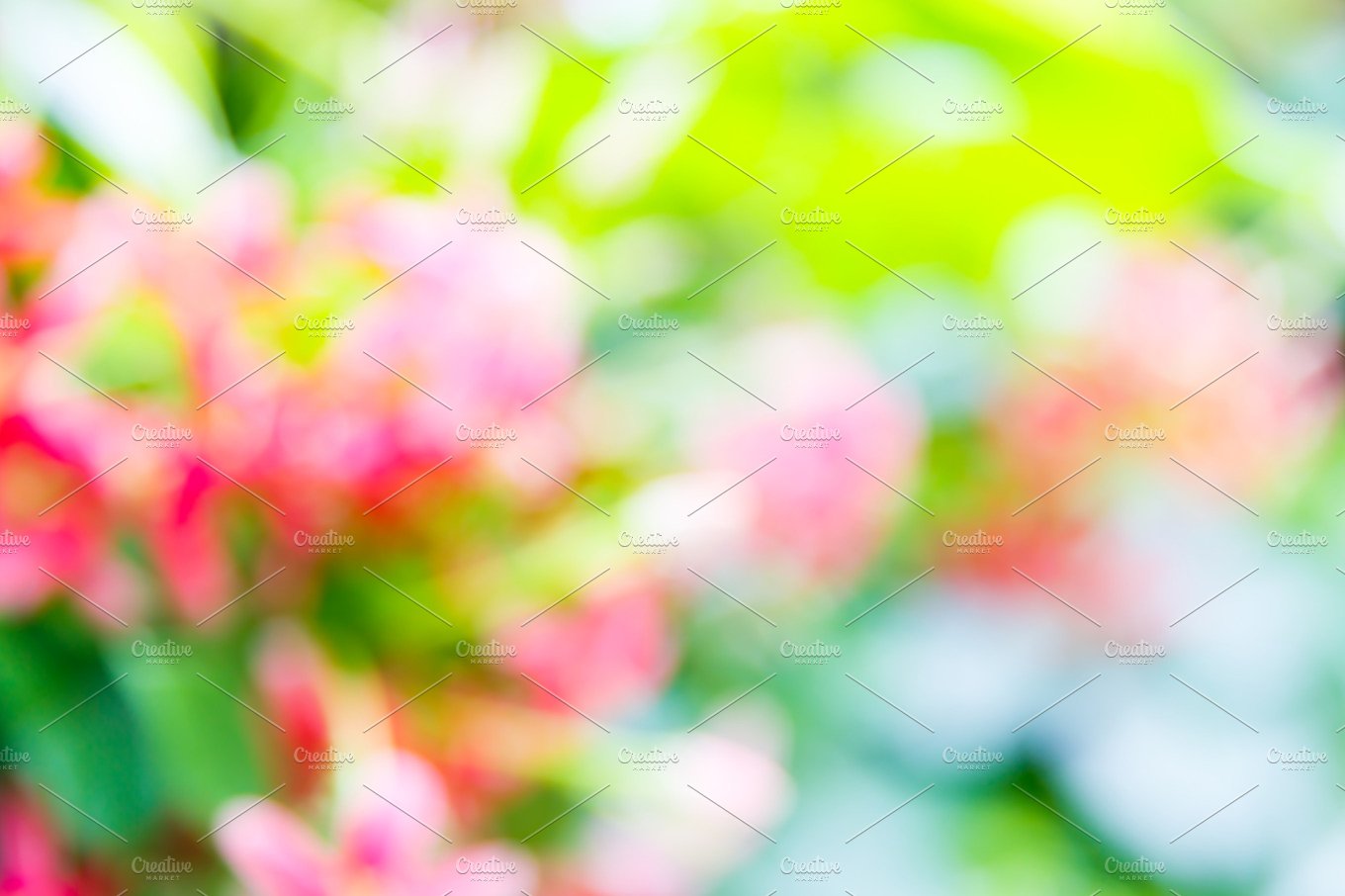 Blurred Flower Background