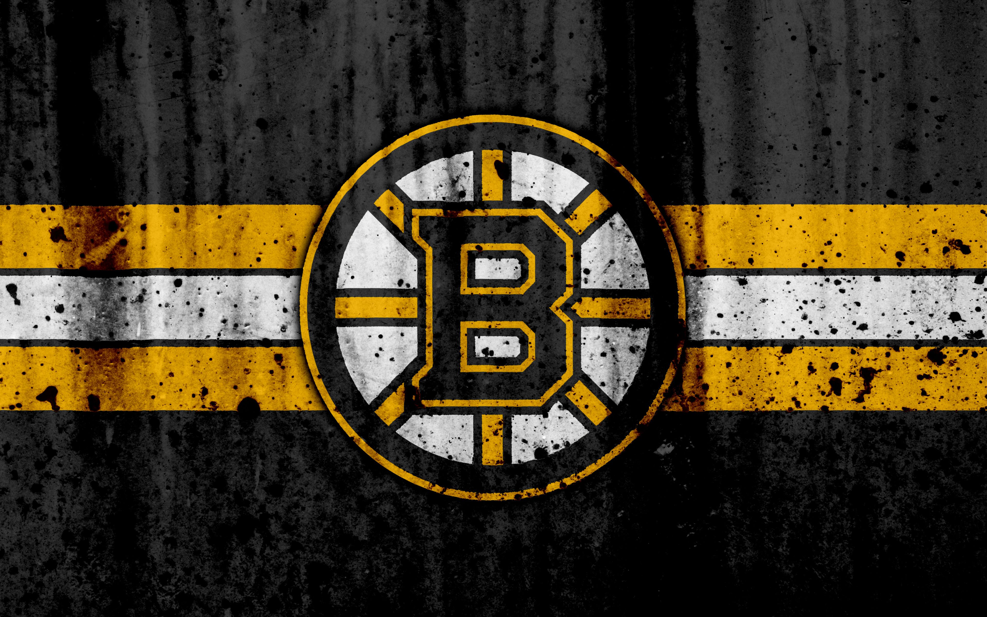 Boston Bruins Zoom Background