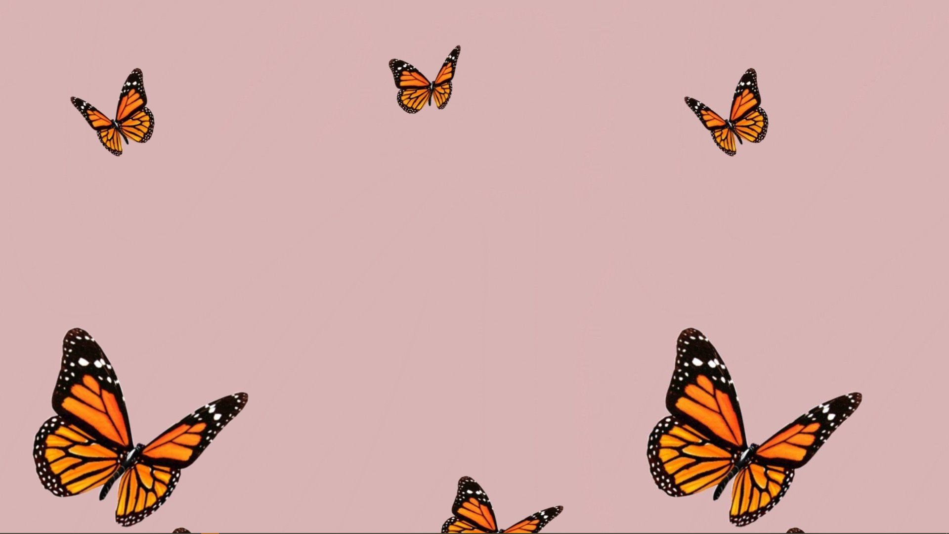 Butterfly Computer Background