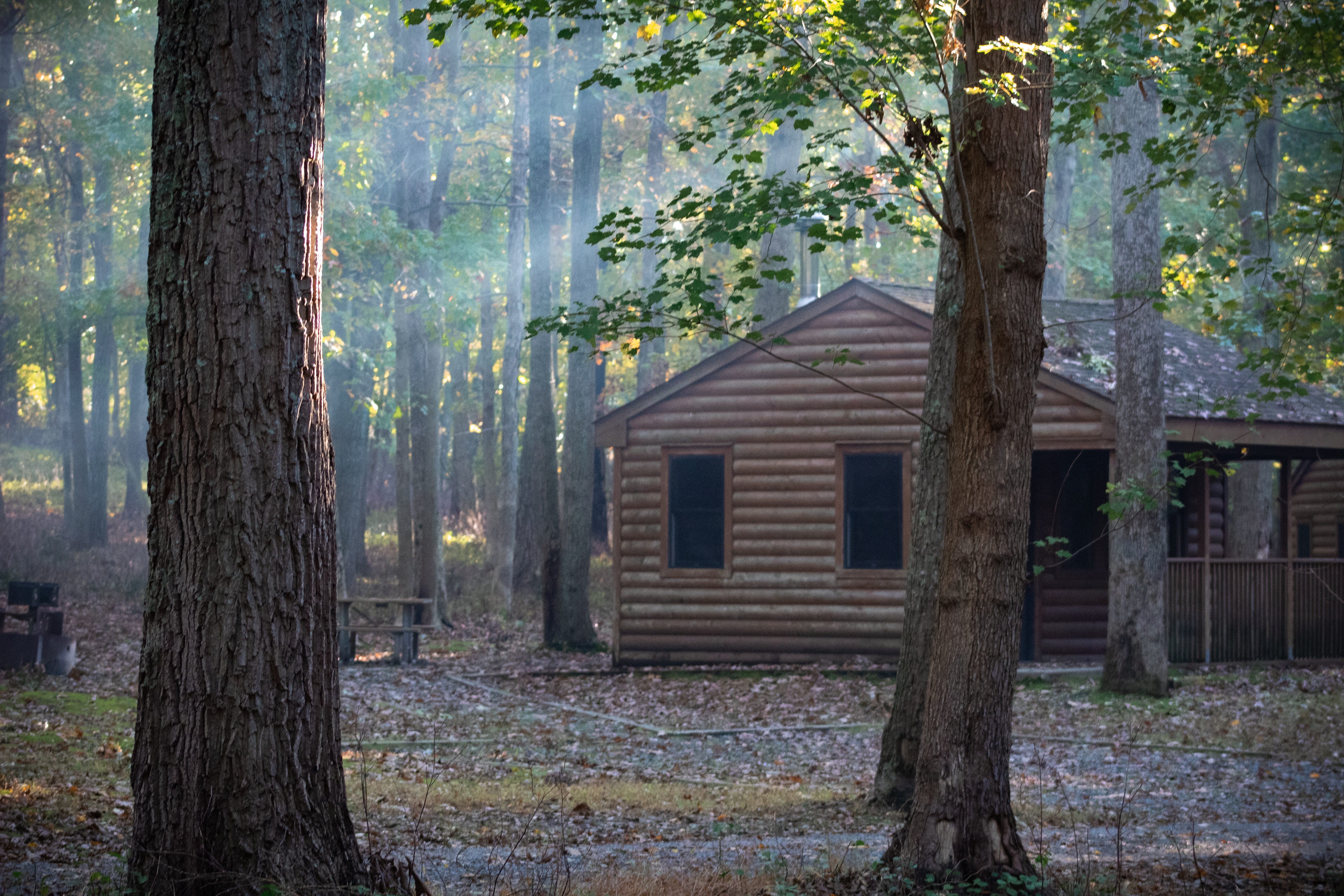 Cabin In The Woods Background