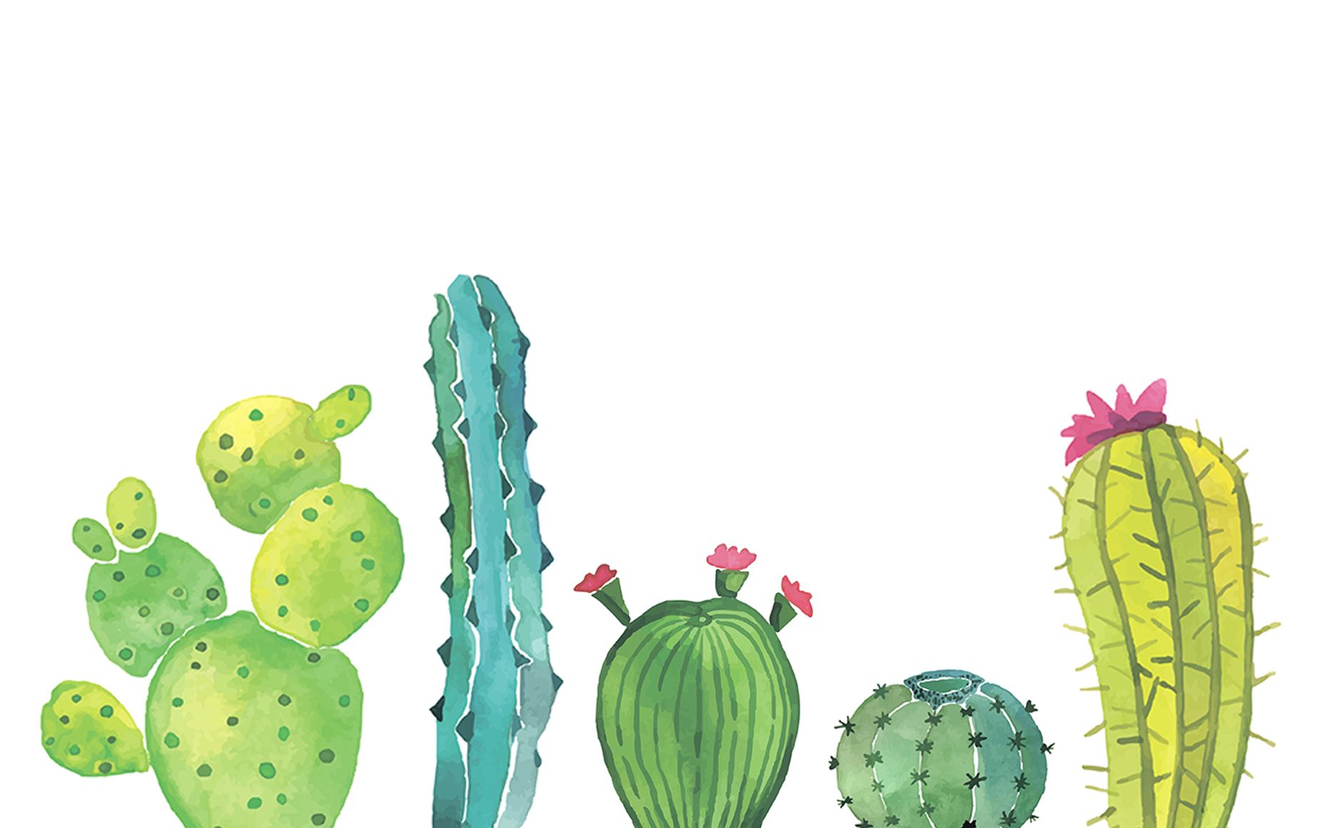 Cactus Background