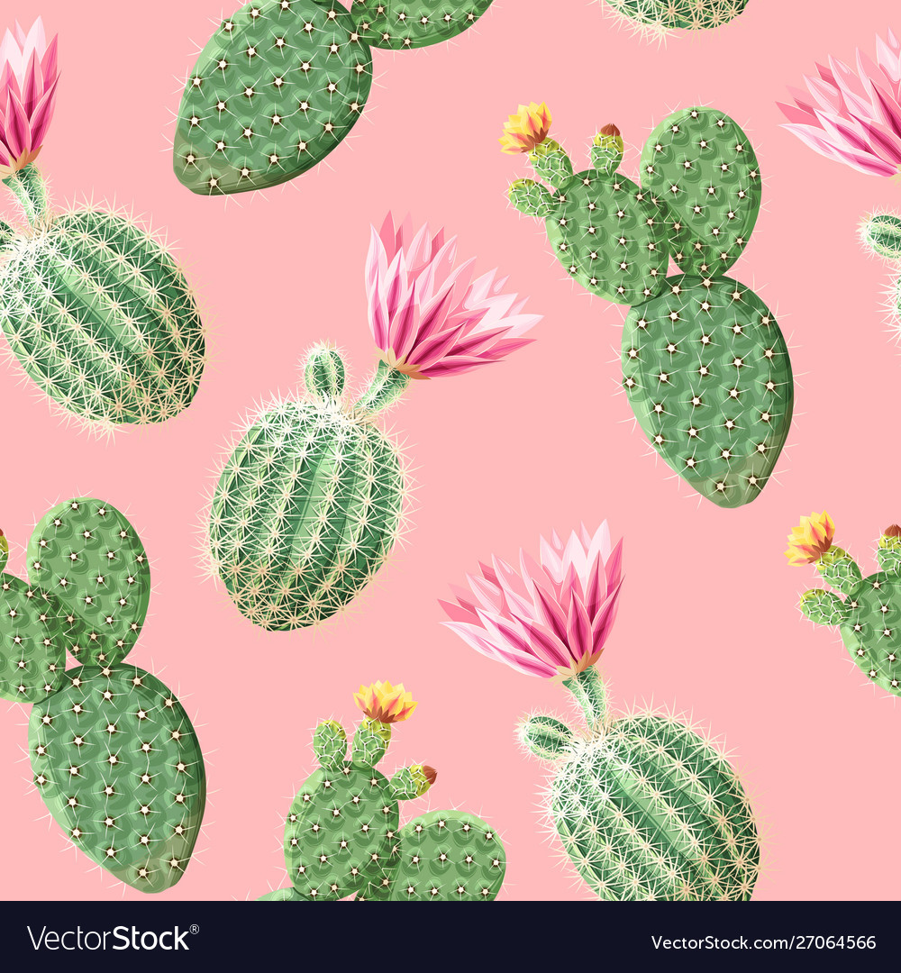 Cactus Background