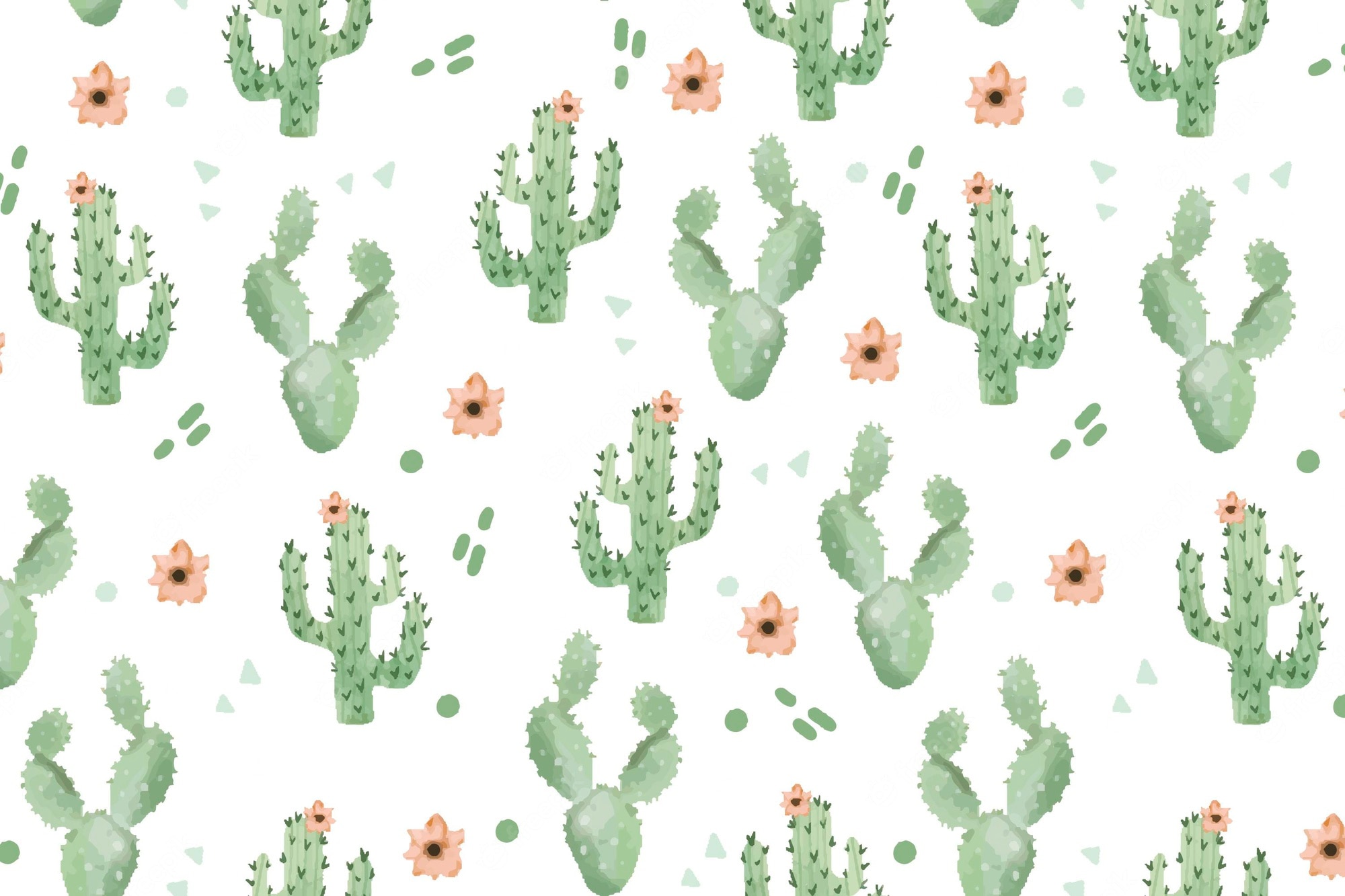 Cactus Background