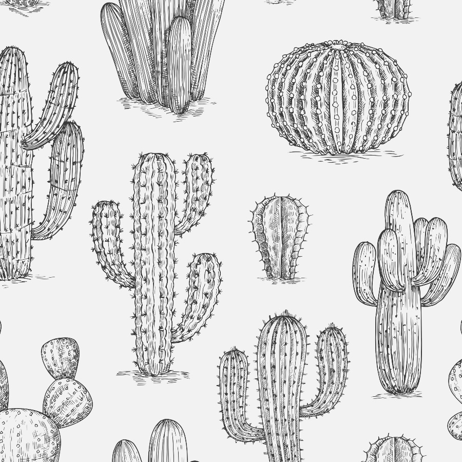 Cactus Background