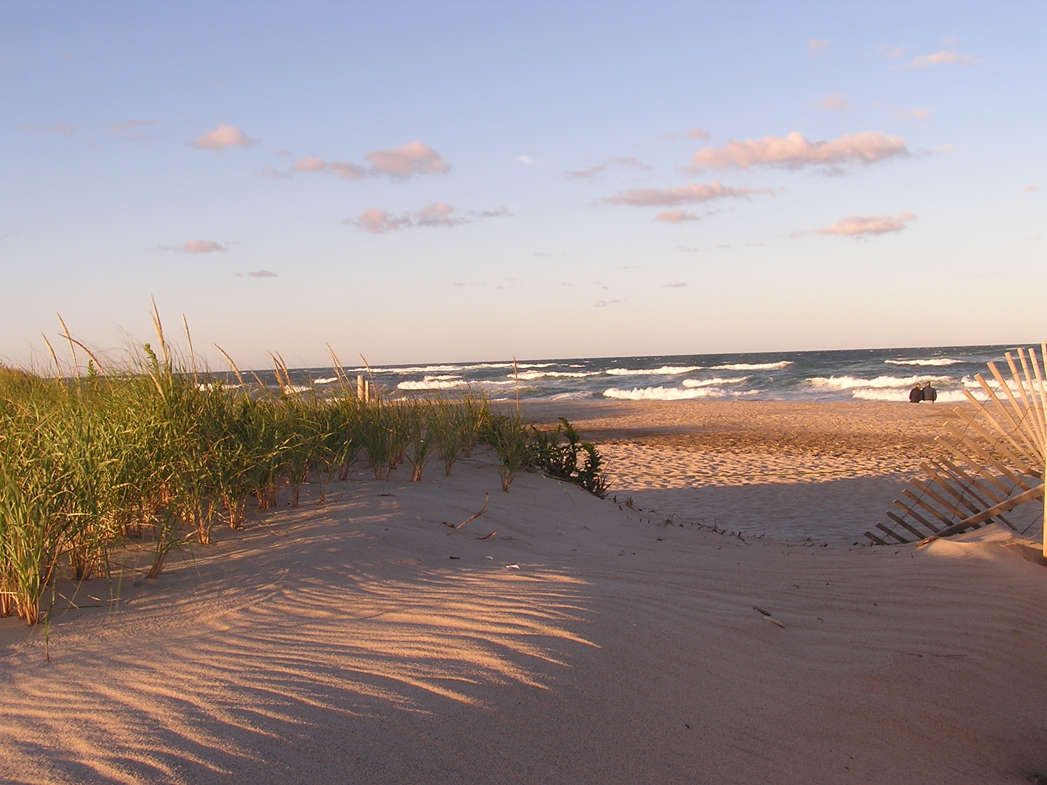 Cape Cod Background