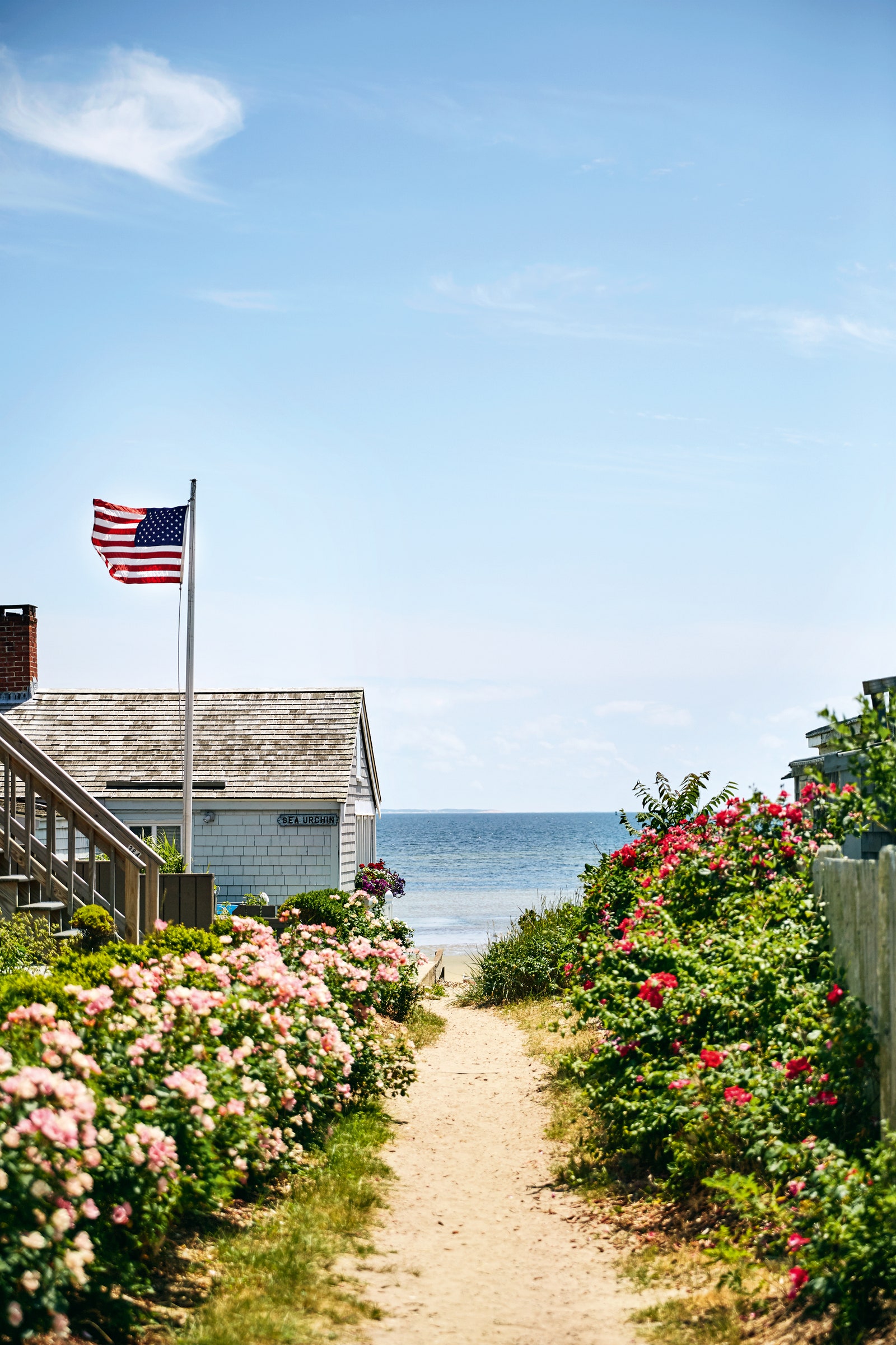 Cape Cod Background