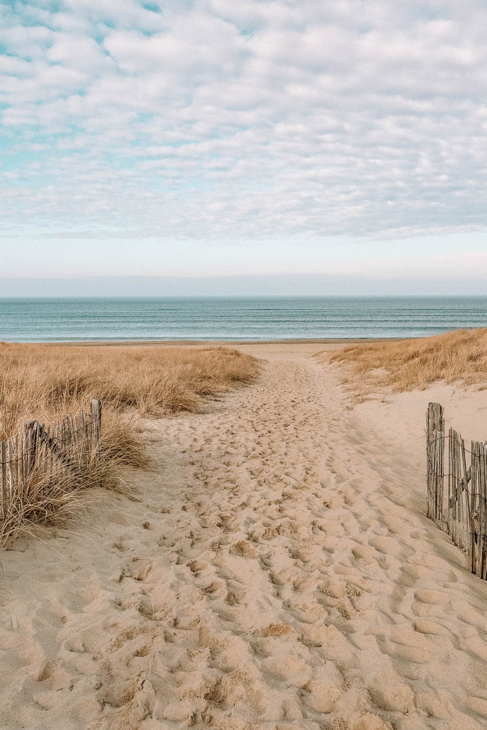 Cape Cod Background