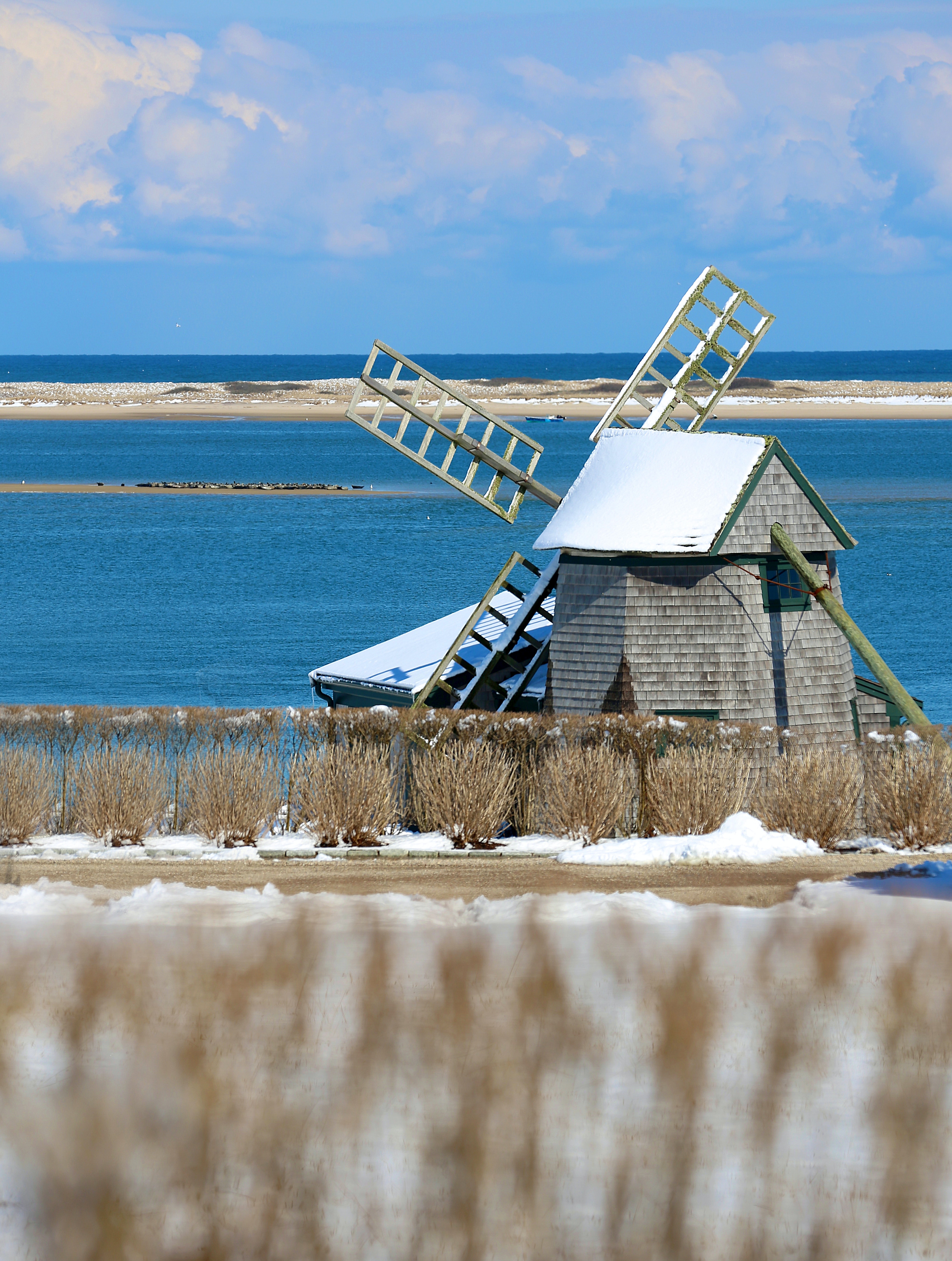 Cape Cod Background