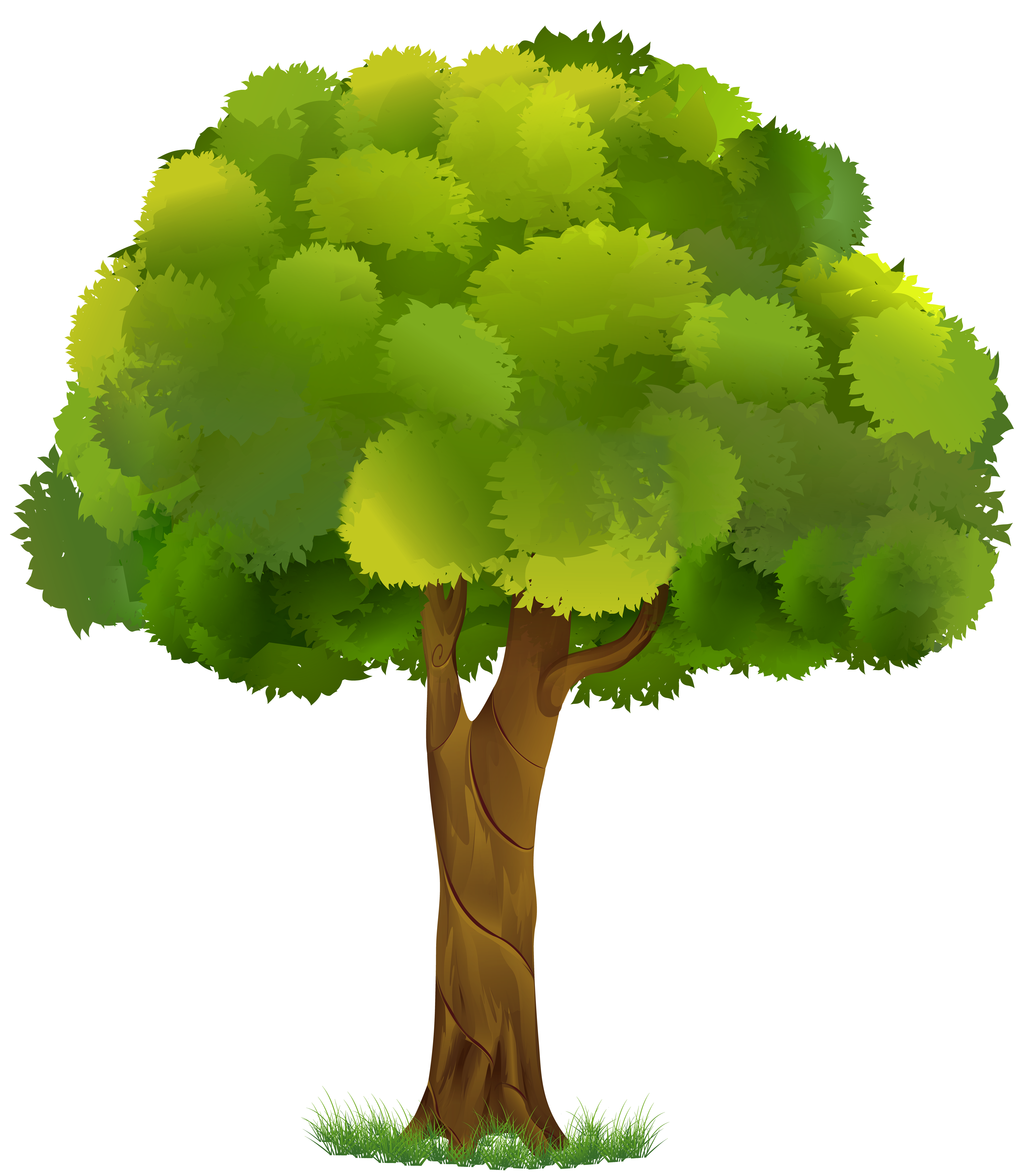 Cartoon Tree Transparent Background