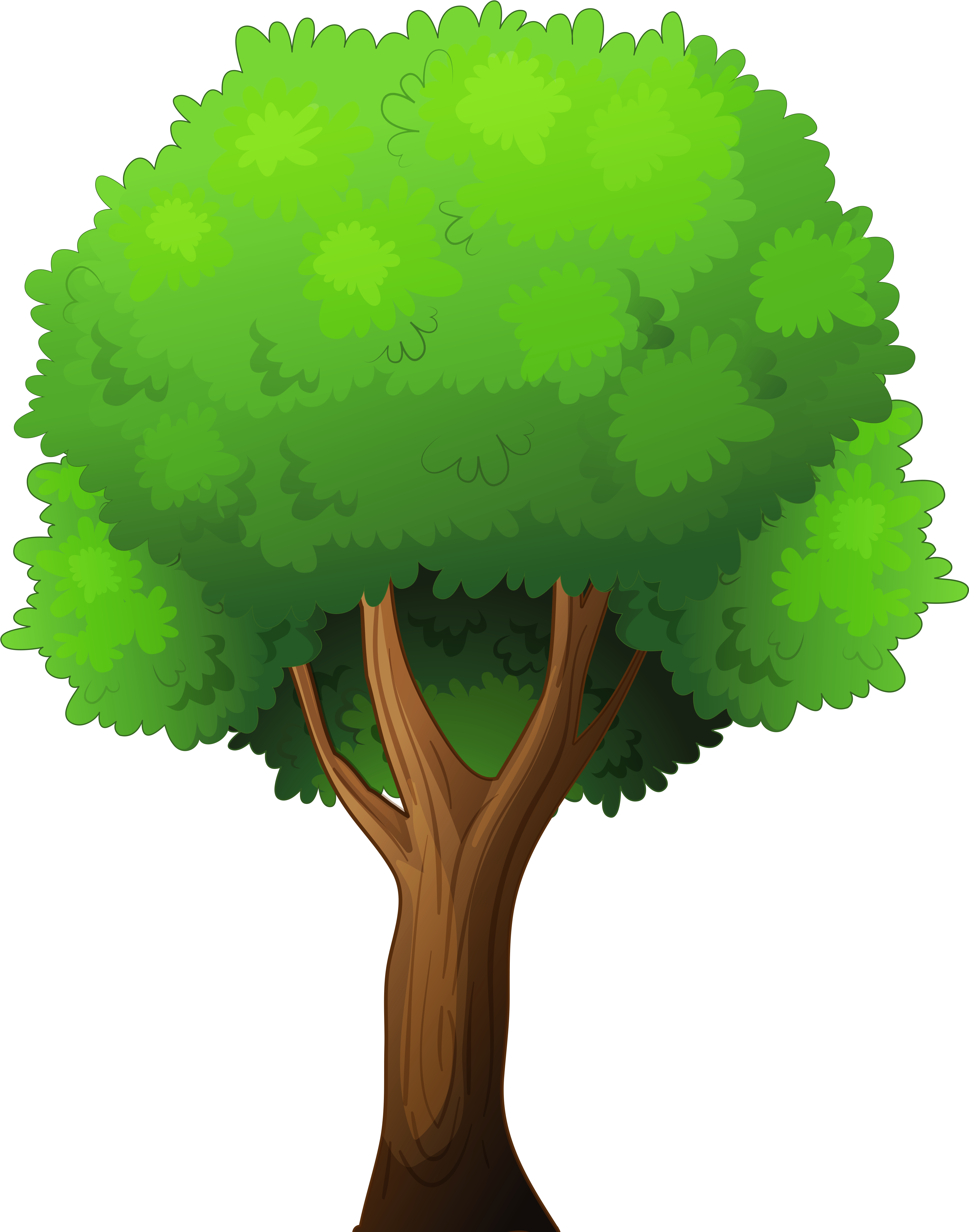 Cartoon Tree Transparent Background