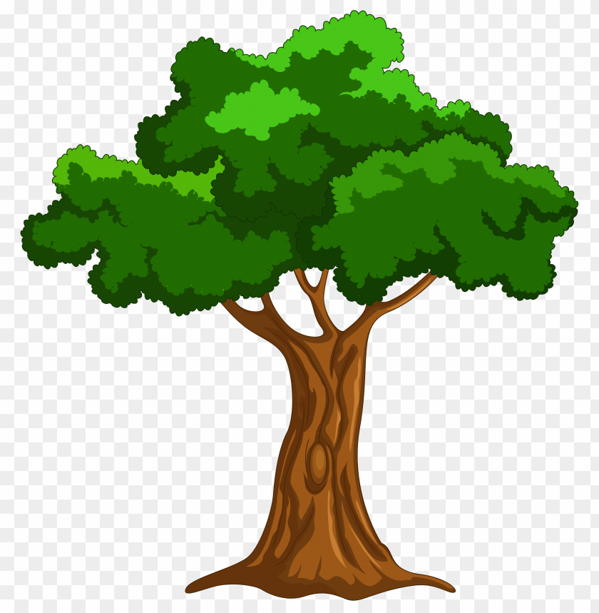 Cartoon Tree Transparent Background