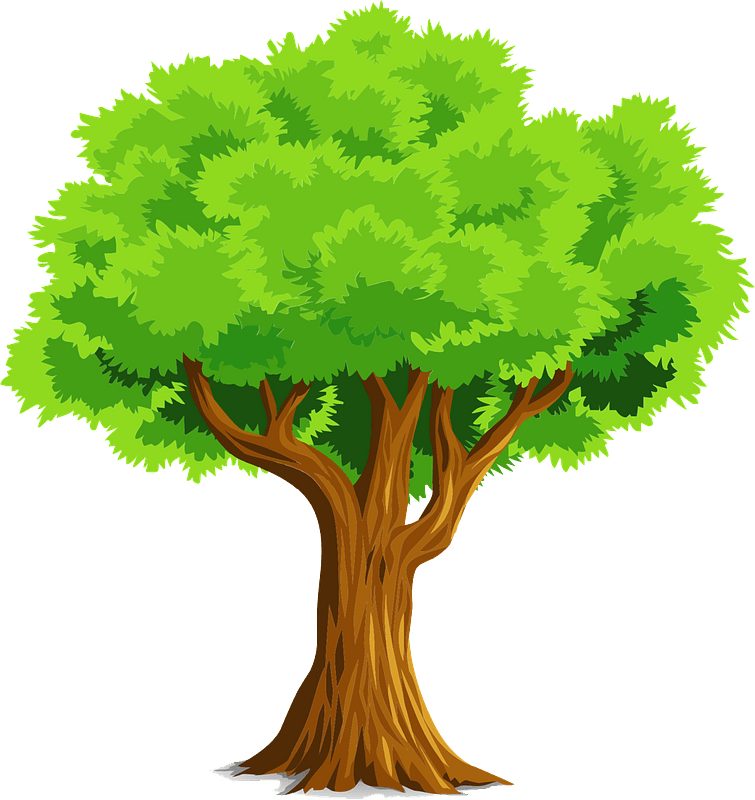 Cartoon Tree Transparent Background