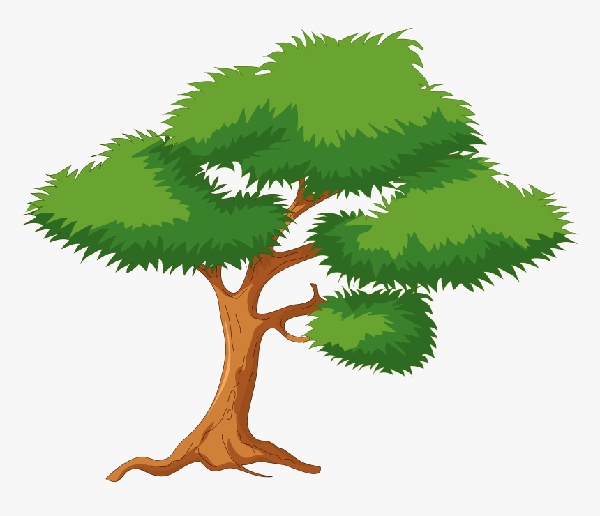 Cartoon Tree Transparent Background