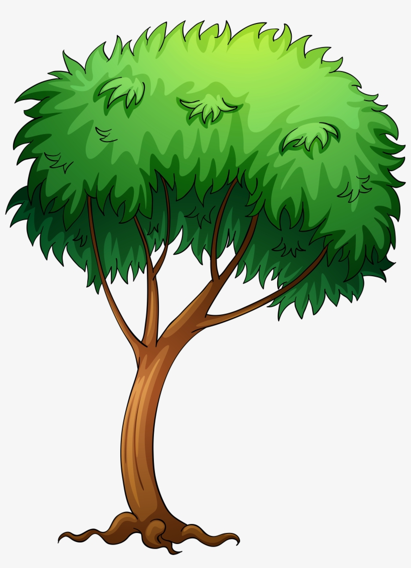 Cartoon Tree Transparent Background