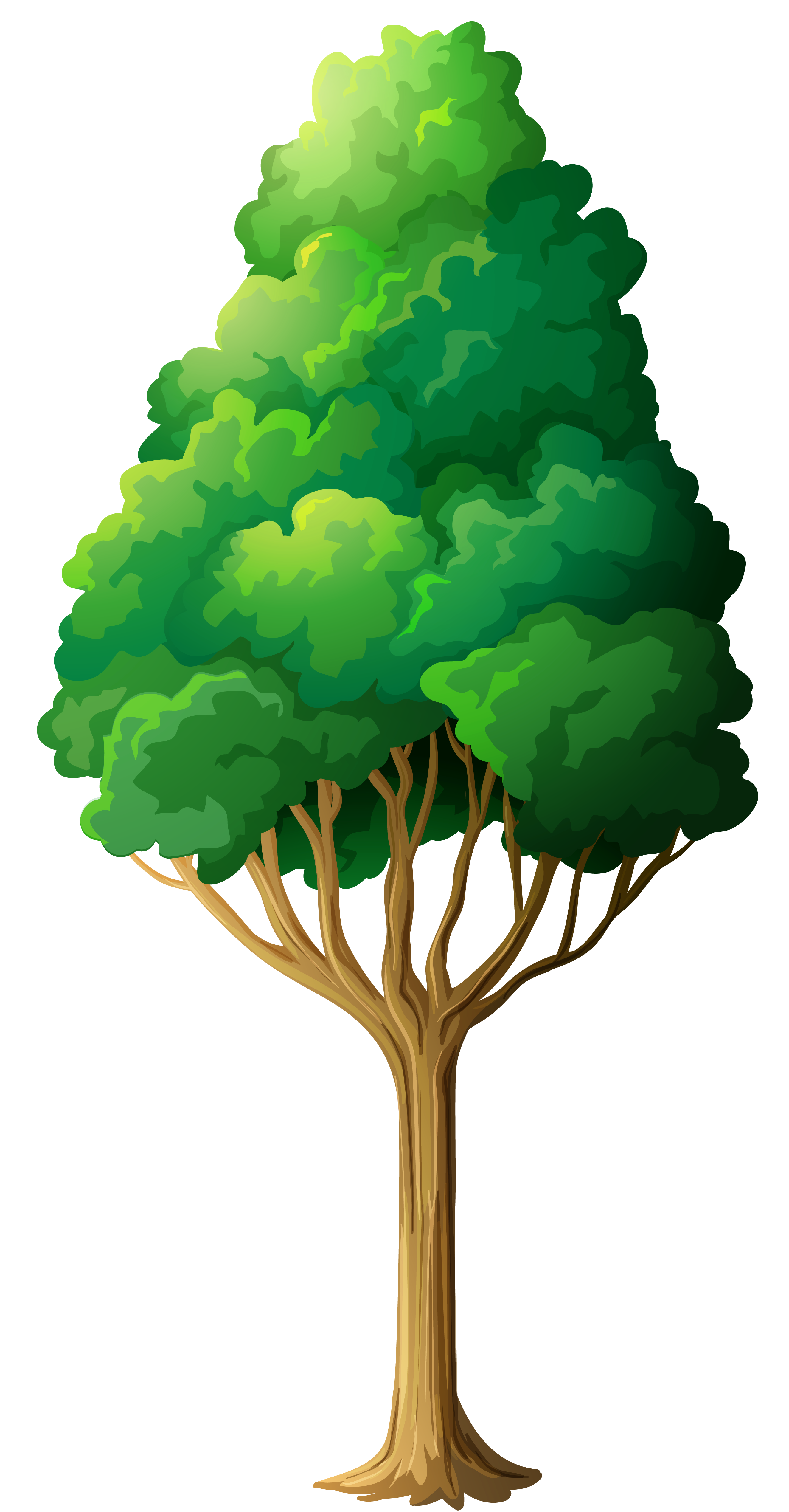 Cartoon Tree Transparent Background