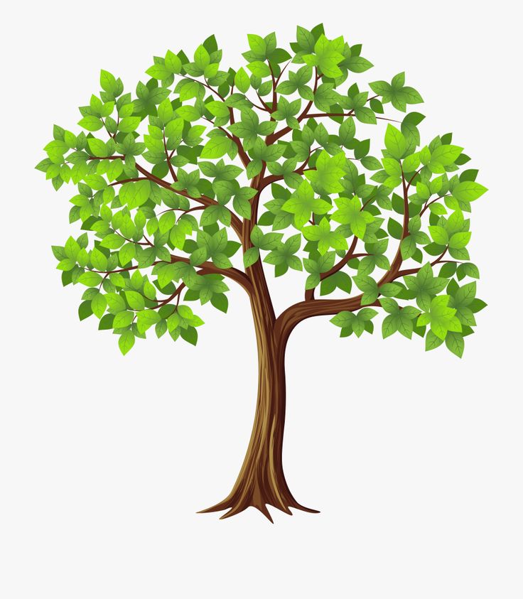 Cartoon Tree Transparent Background